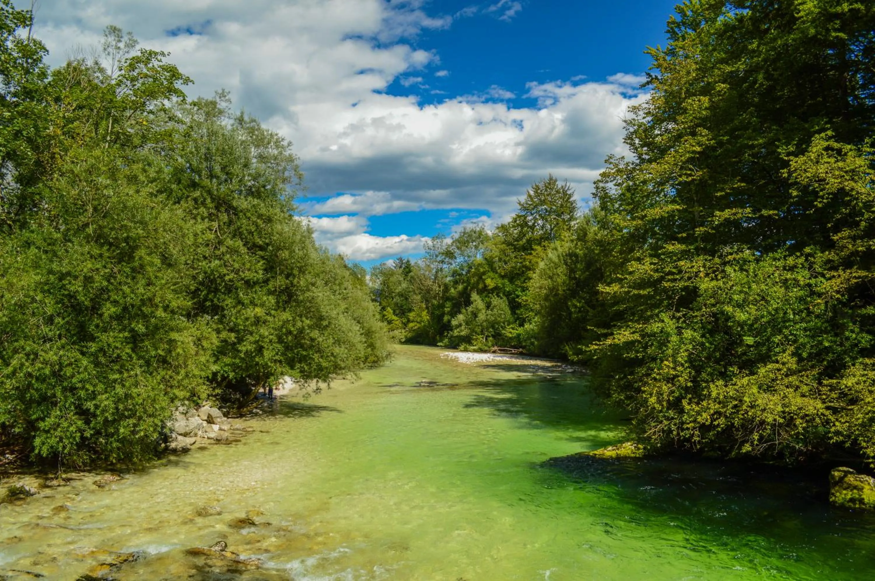 Natural landscape in Vila Park B&B - Adults Only