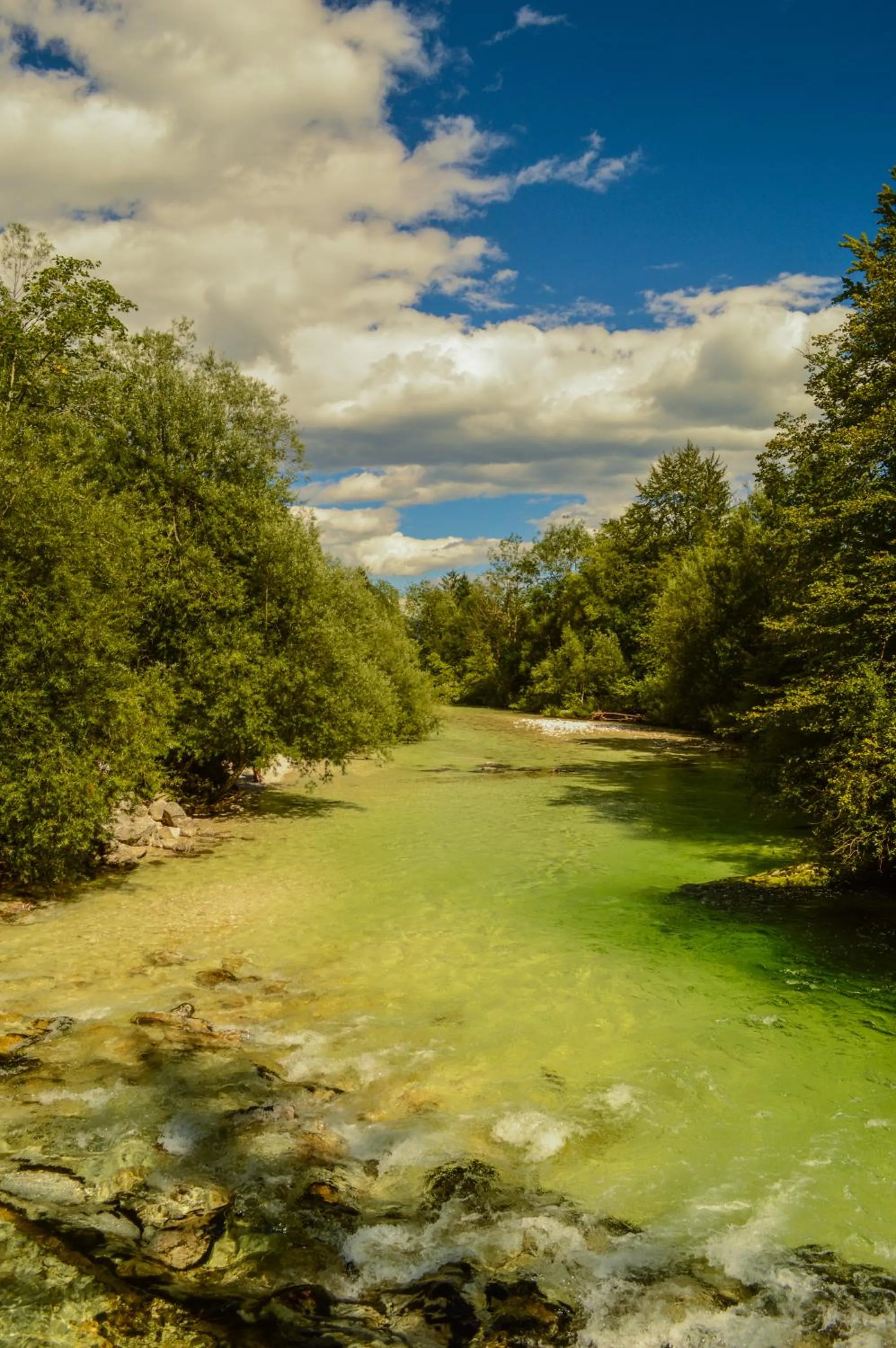 Natural landscape in Vila Park B&B - Adults Only