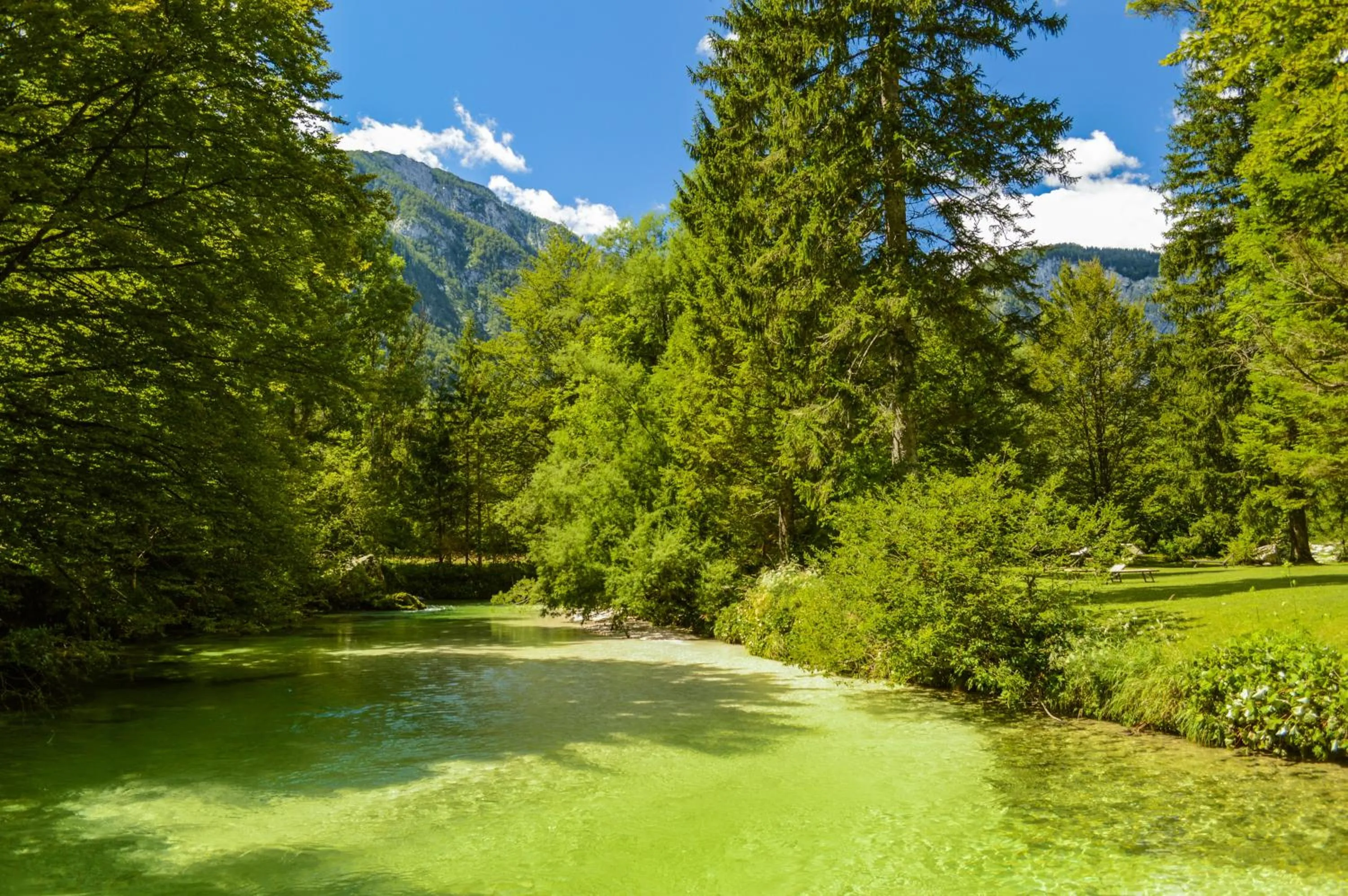 Natural landscape in Vila Park B&B - Adults Only