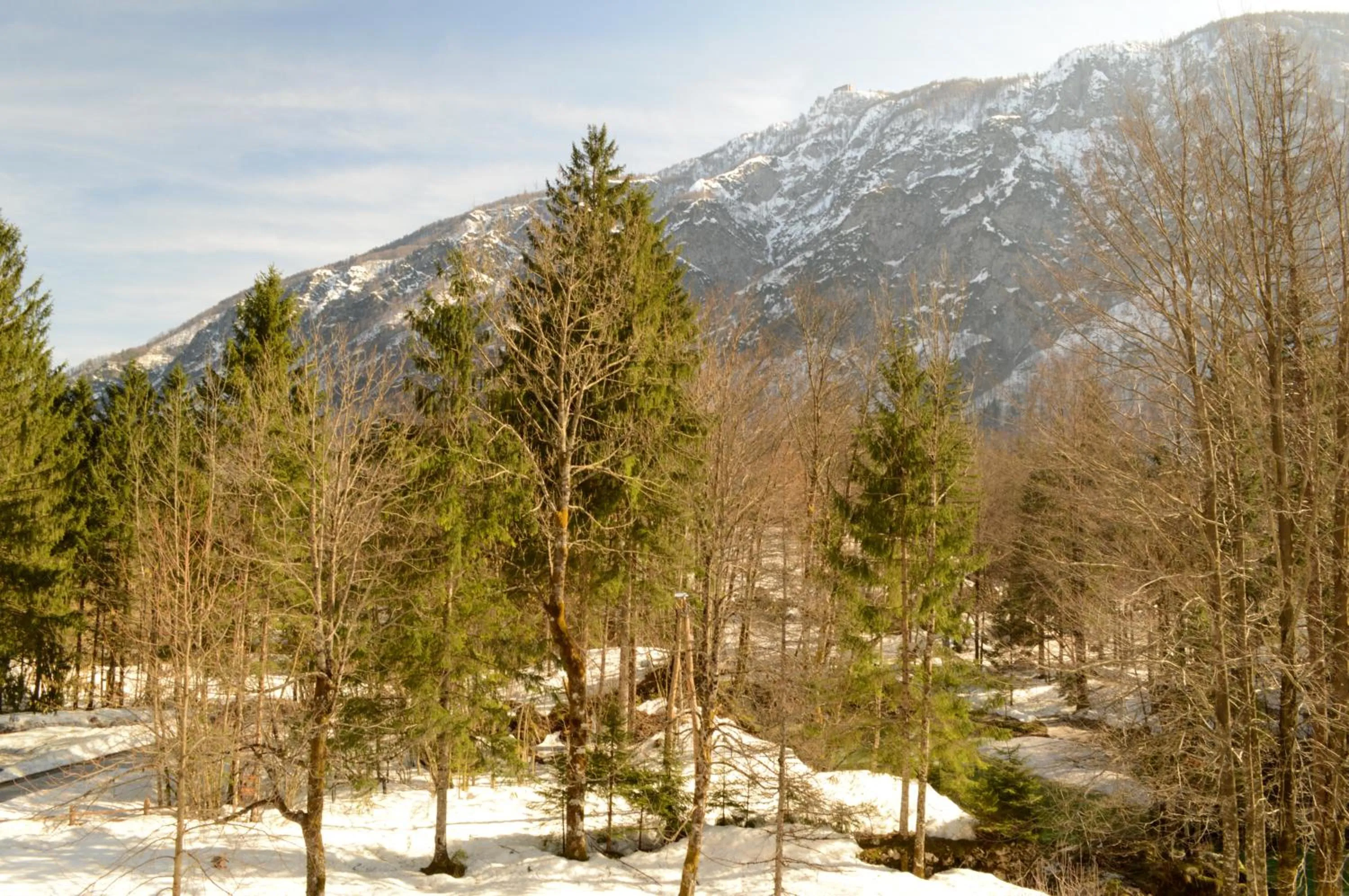 View (from property/room) in Vila Park B&B - Adults Only