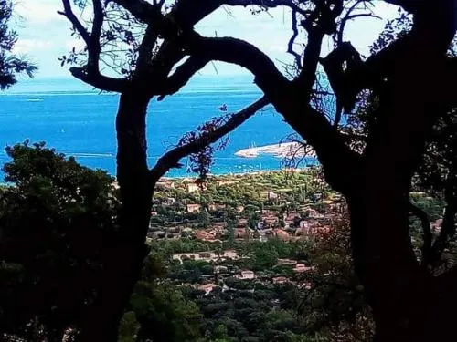 NOUVEAU ! Chambre d'Hôte Insolite PRIVEE " CŒURS DE PIRATES à BALI EN PROVENCE" SPA SAUNA MASSAGES dans cadre EXOTIQUE d'Aménagements EXTÉRIEURS D'EXCEPTION ÉTÉ comme HIVER BIENVENUE !!!