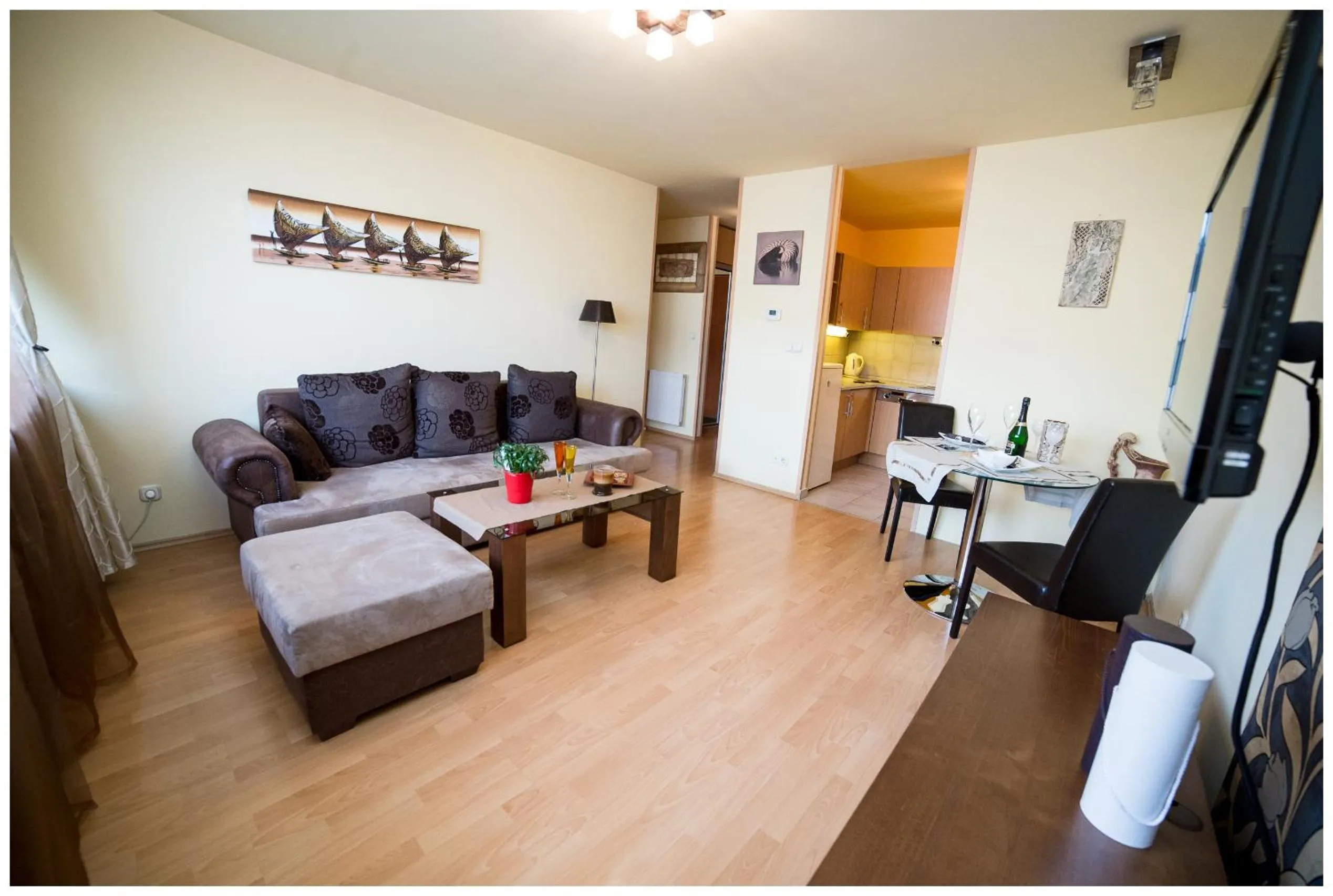 Living room in Arpad Bridge Apartments