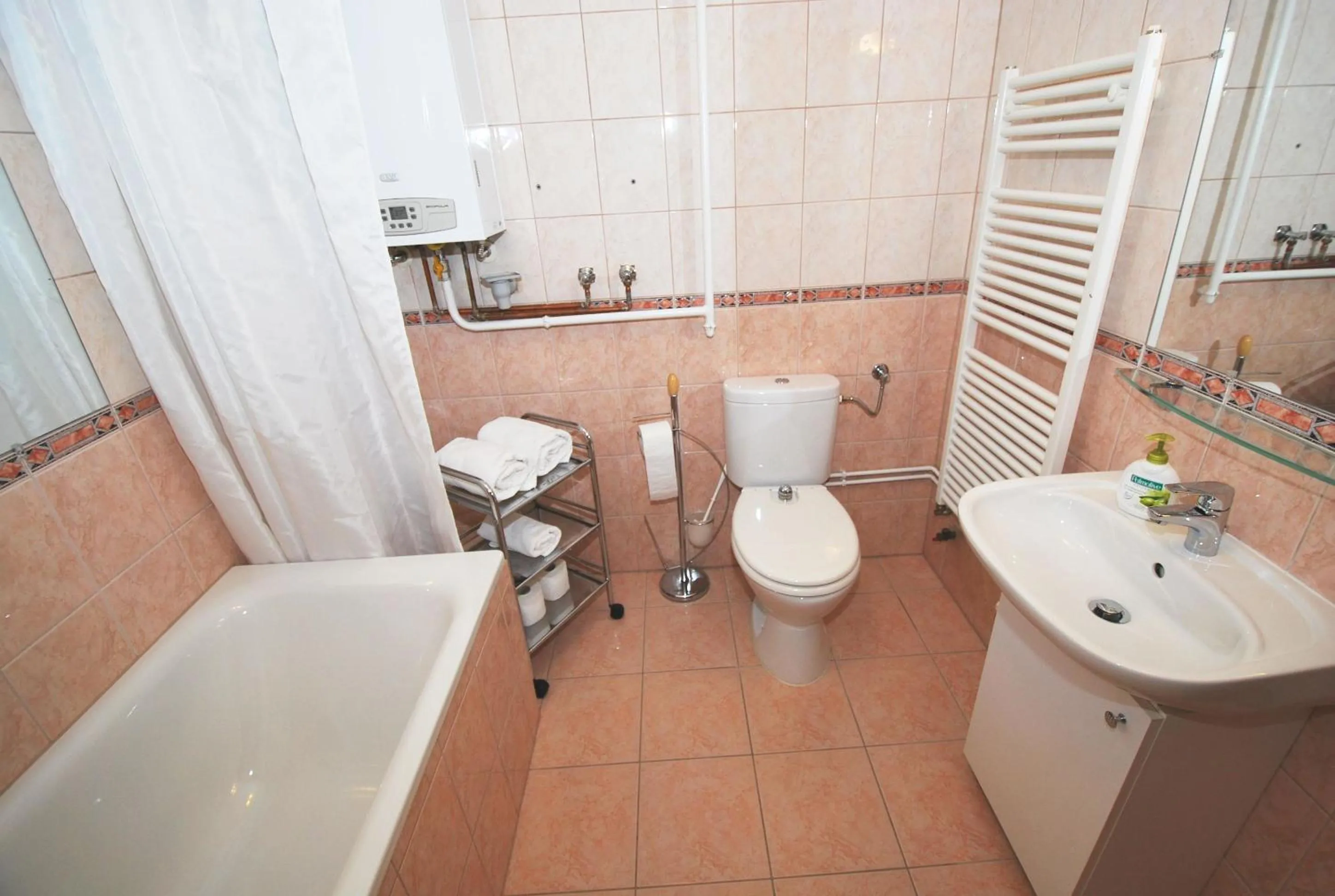 Bathroom in Arpad Bridge Apartments