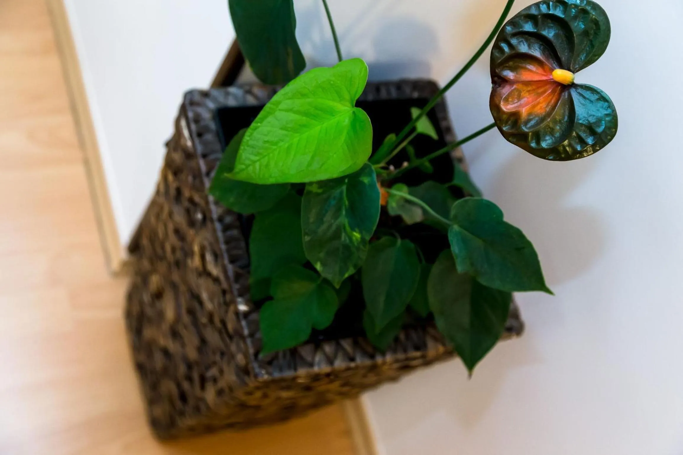 Decorative detail in Arpad Bridge Apartments