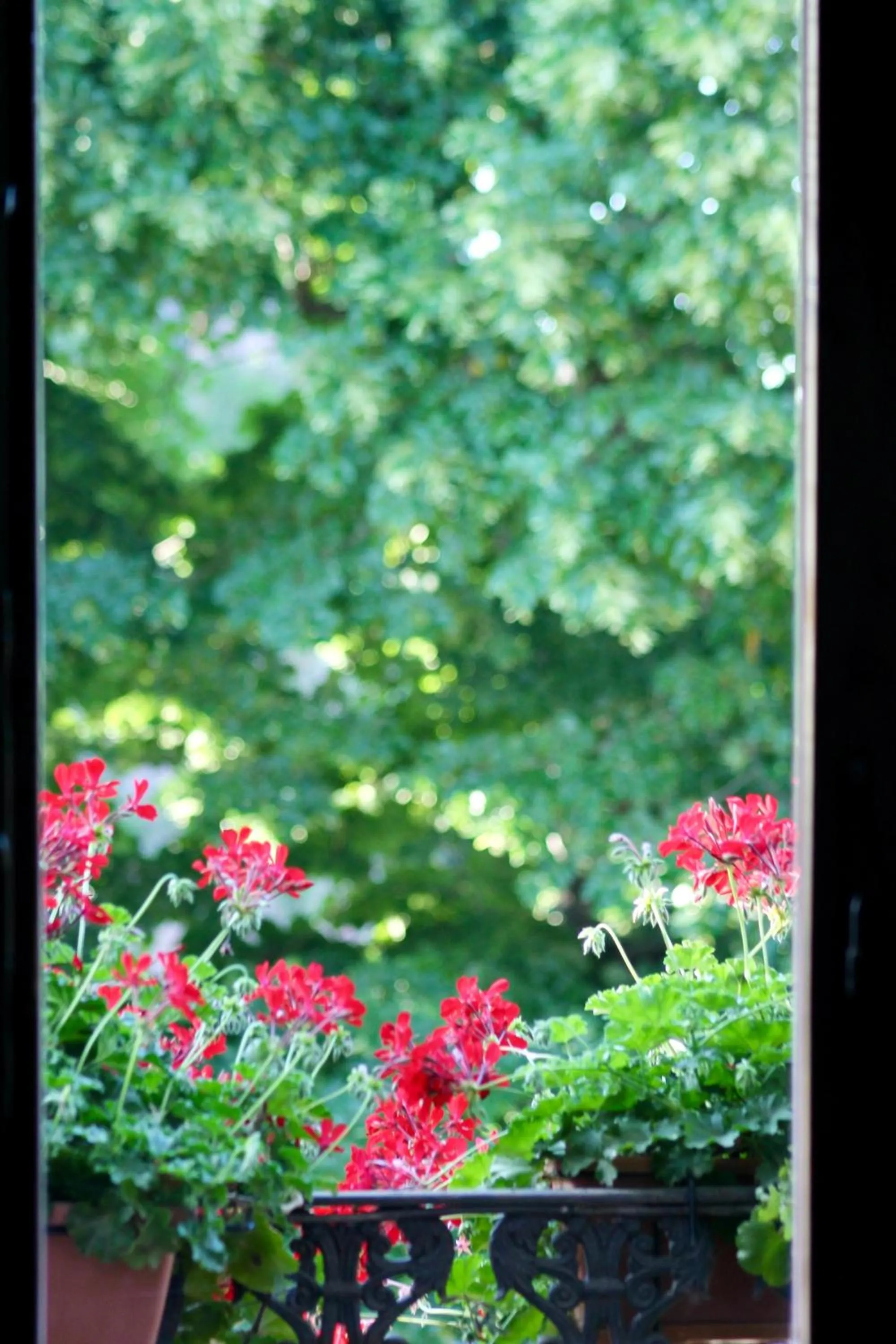 Spring in Villa Sant’Andrea