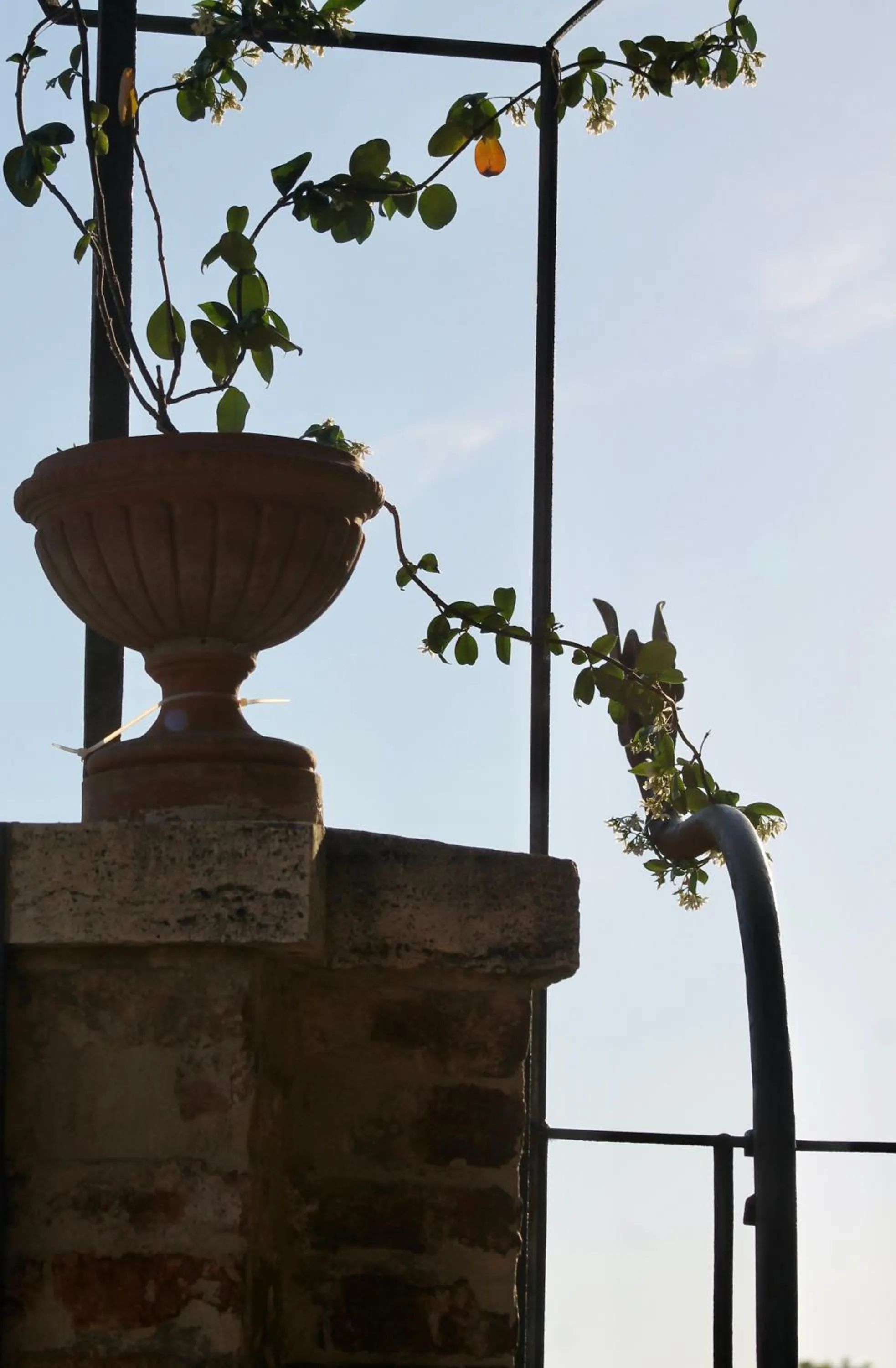 Balcony/Terrace in Villa Sant’Andrea