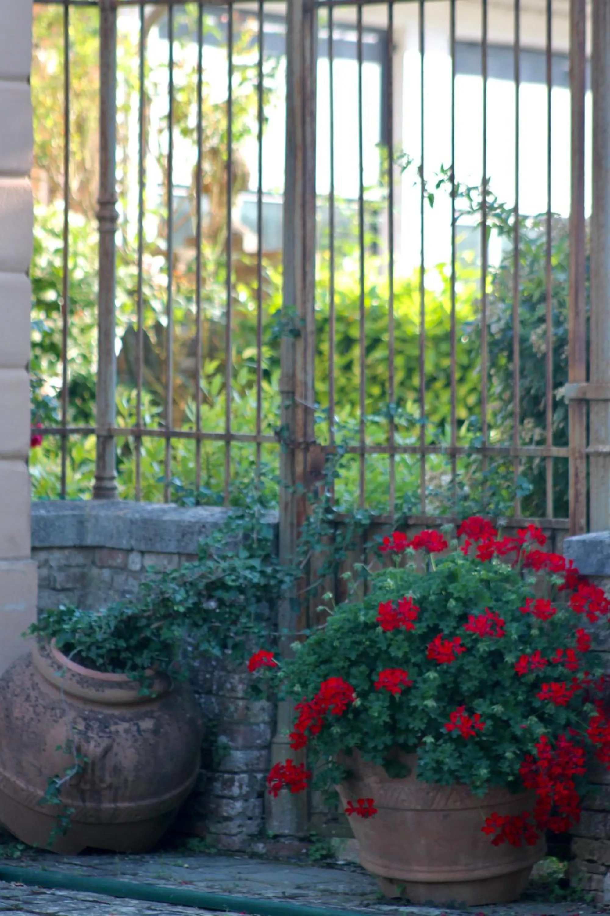 Garden view in Villa Sant’Andrea