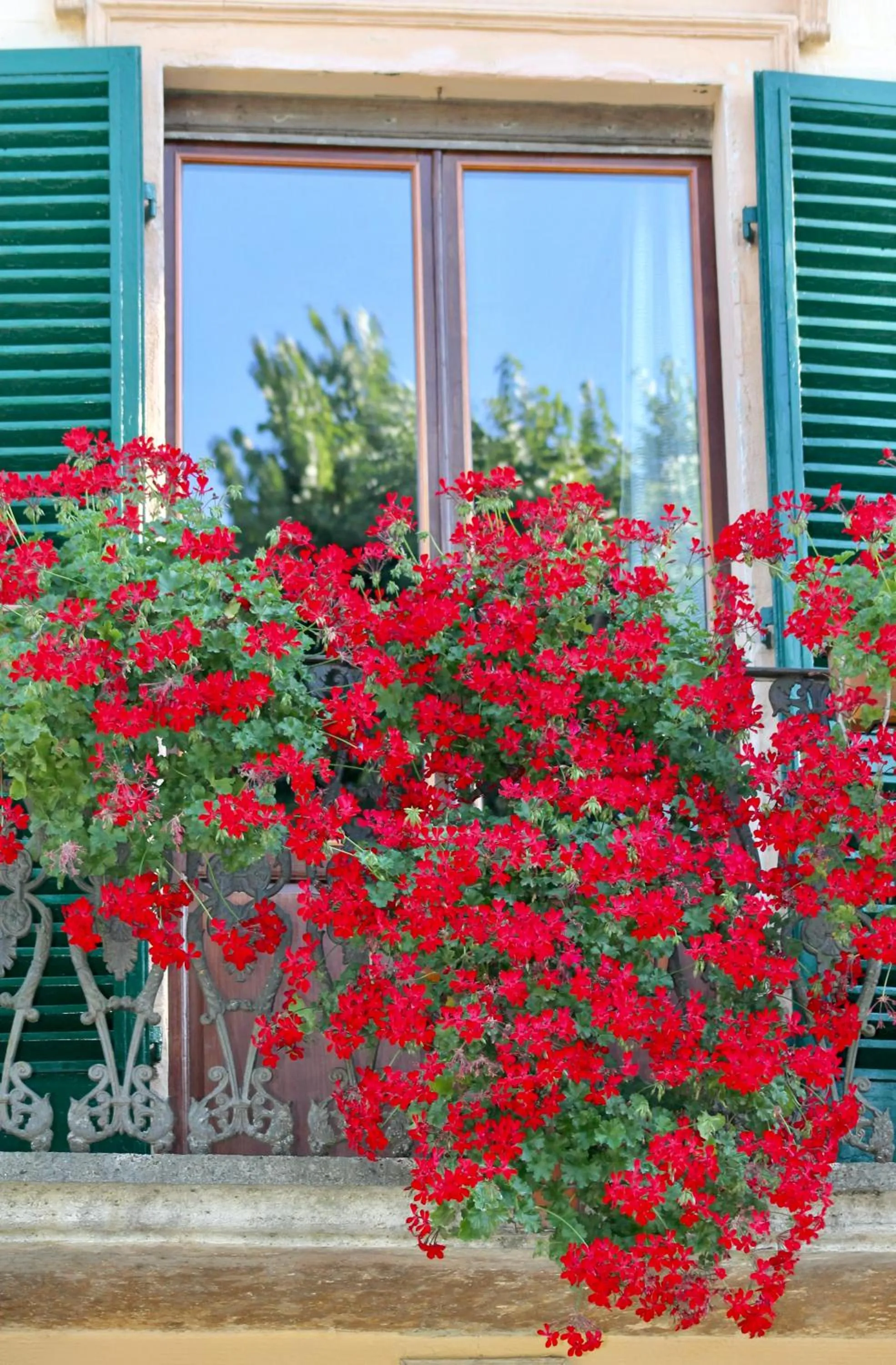 Spring in Villa Sant’Andrea