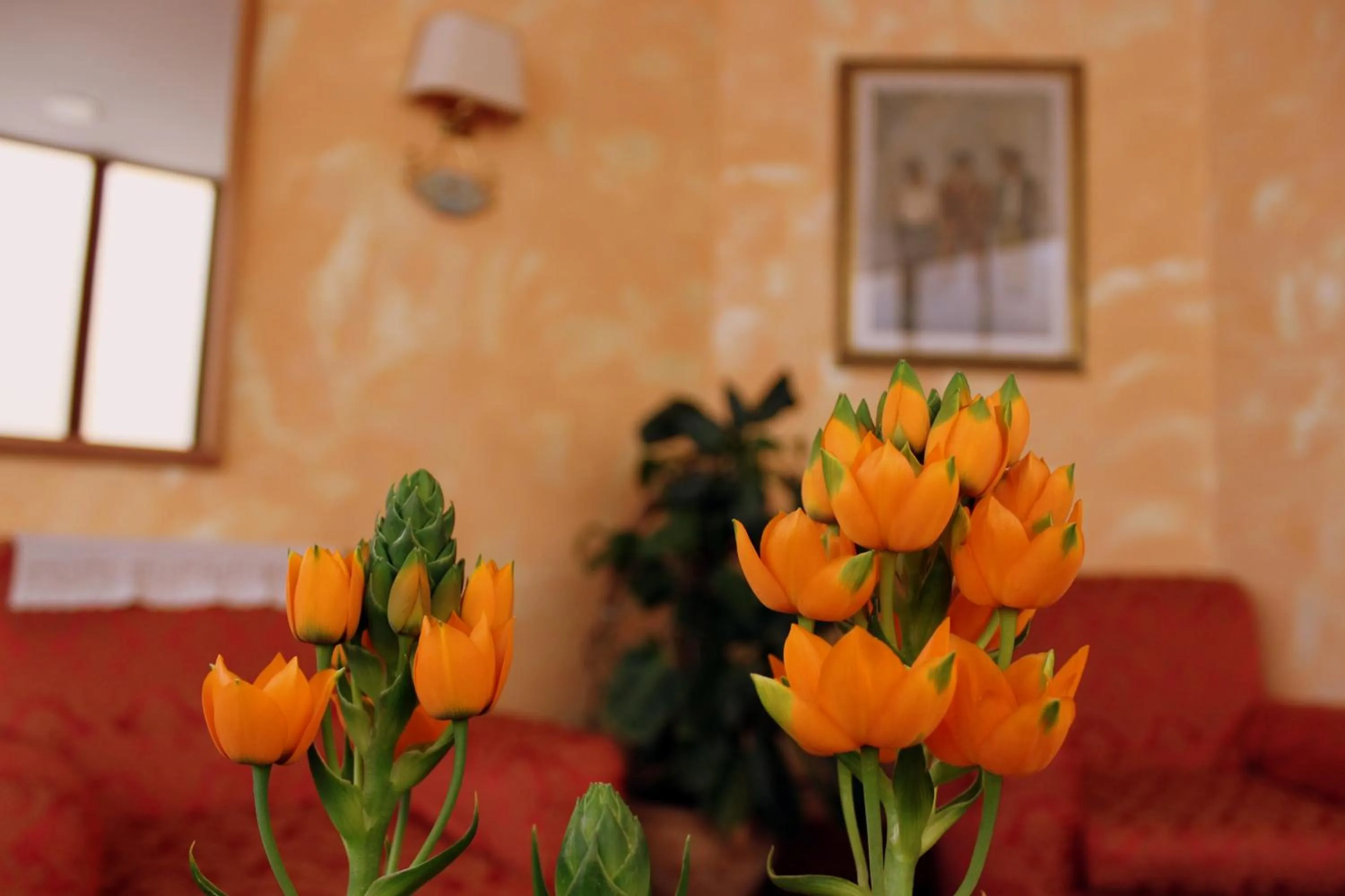 Decorative detail in Hotel Beatrice