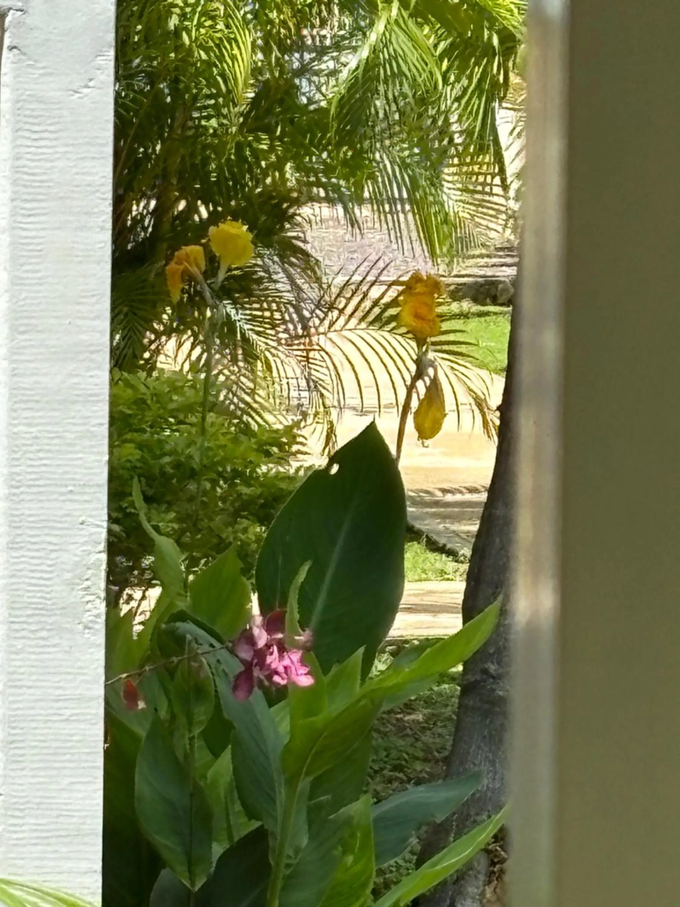 Garden in Sommerville Resorts