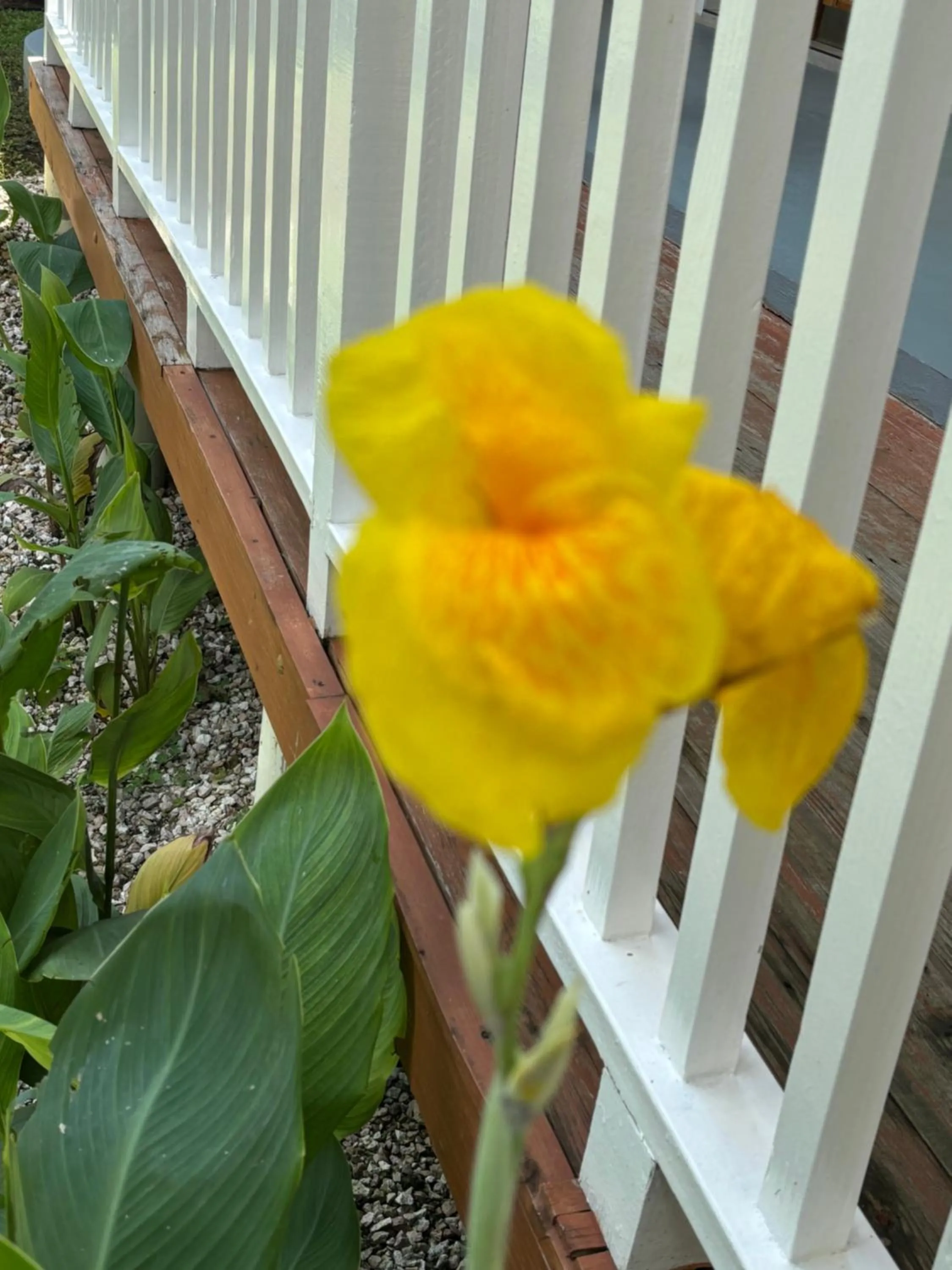 Garden in Sommerville Resorts