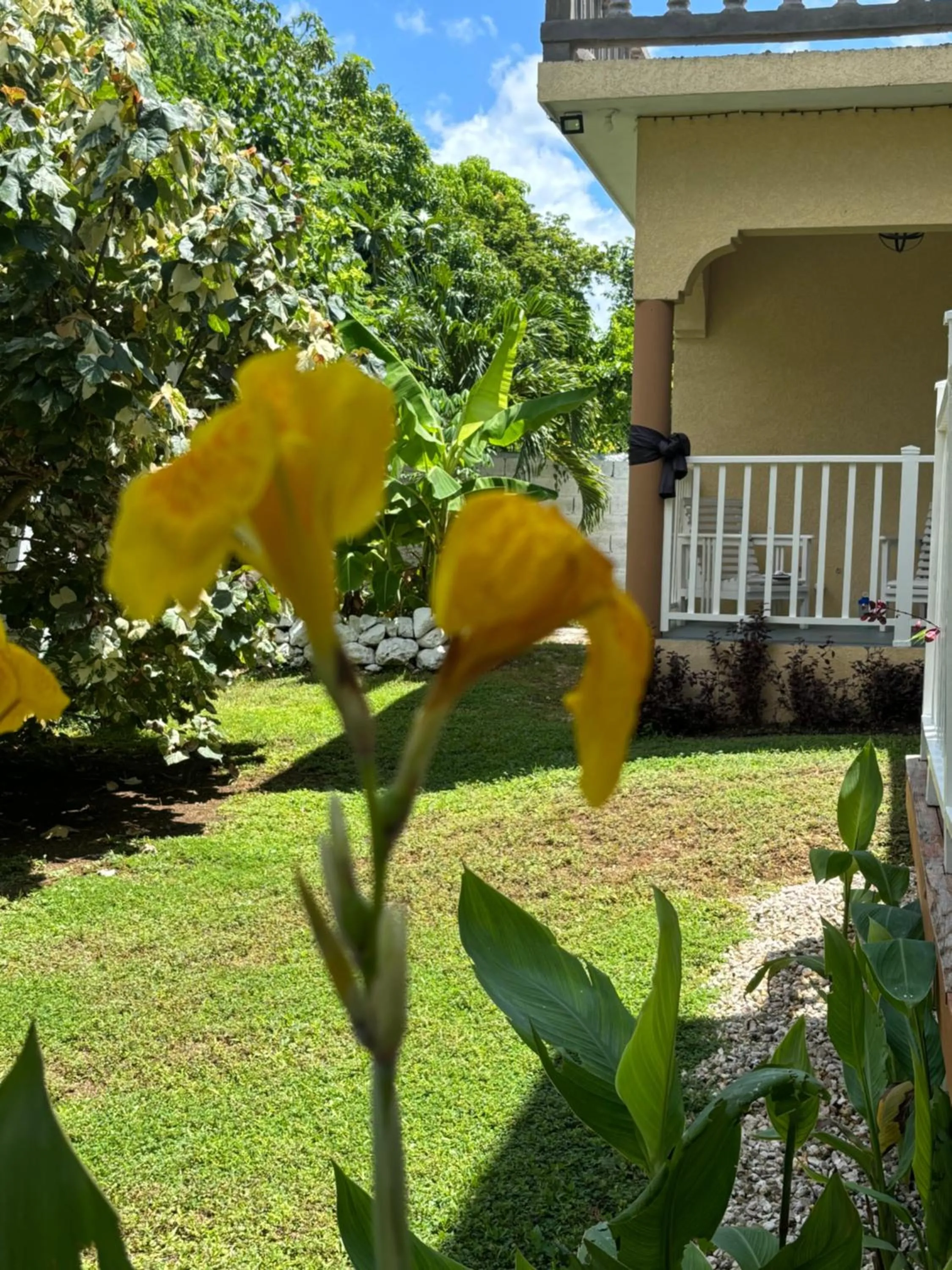 Garden view in Sommerville Resorts