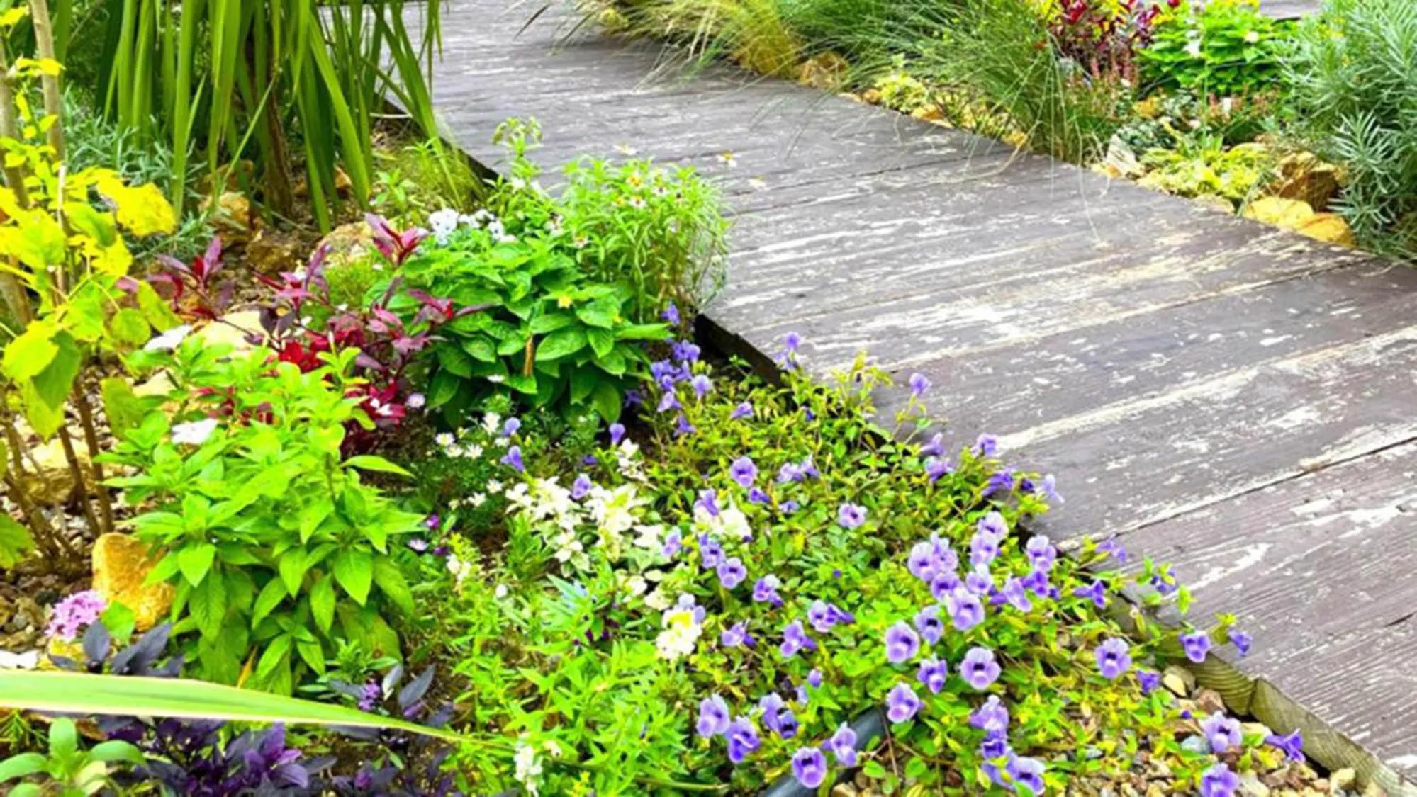 Facade/entrance in Toyoko Inn Takasaki eki Nishi guchi No 2