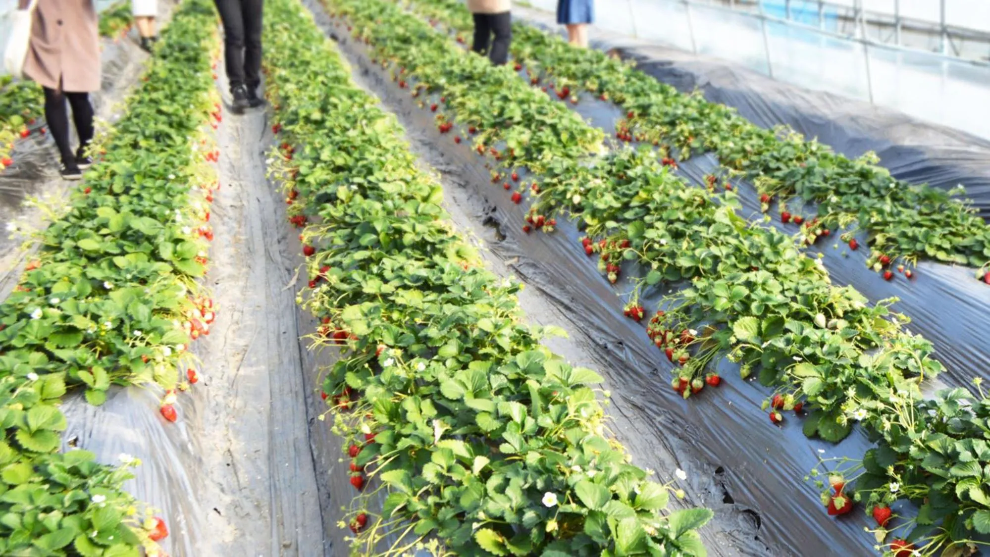 Nearby landmark in Toyoko Inn Toyama eki Shinkansen guchi No 1