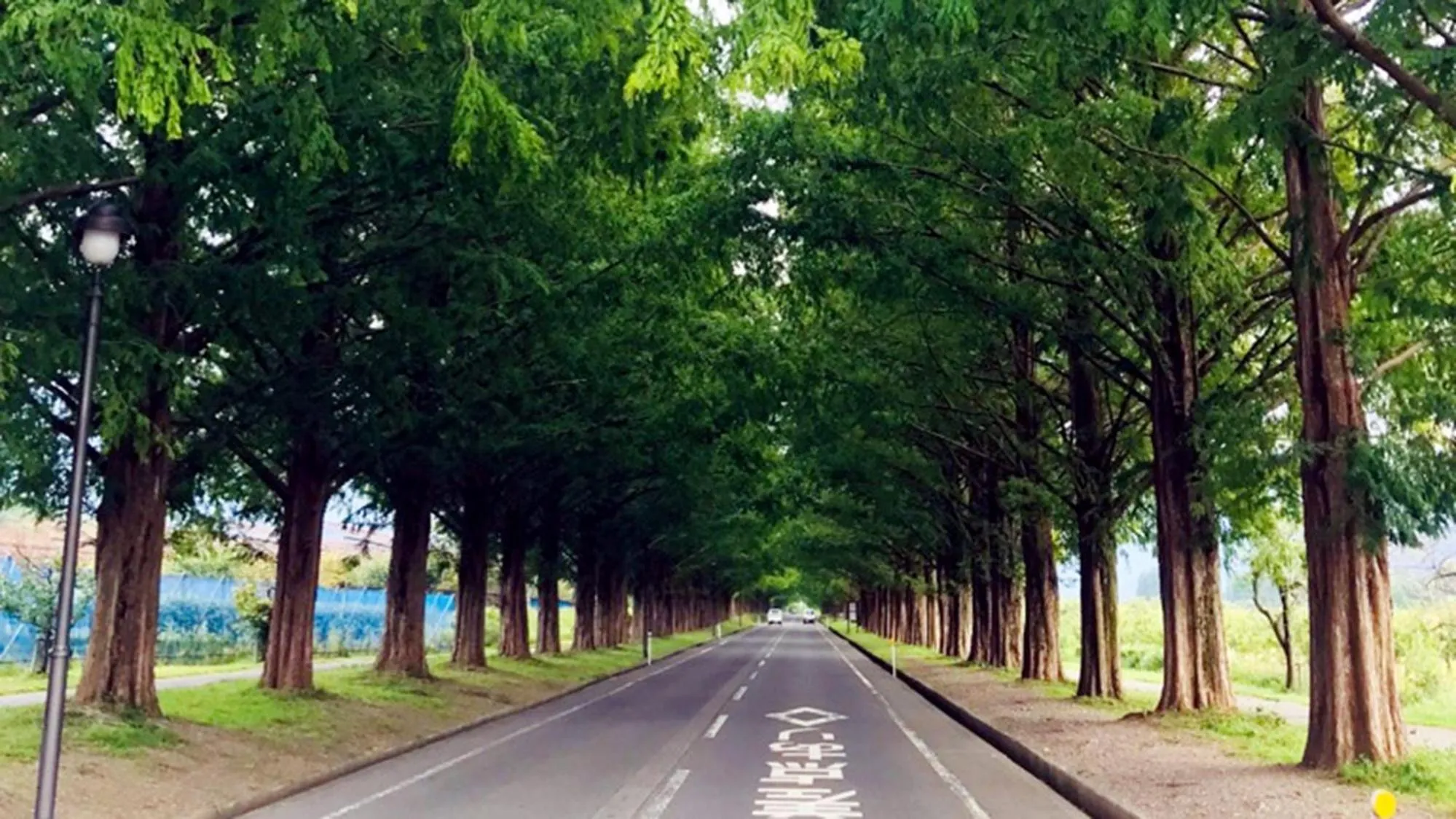 Nearby landmark in Toyoko Inn Hikone eki Higashi guchi