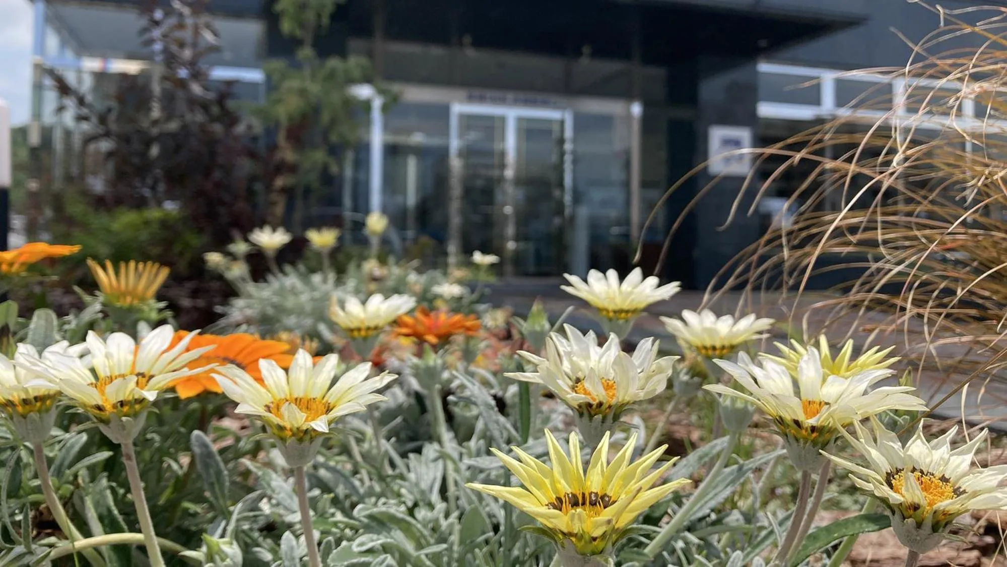 Other in Toyoko Inn Hikone eki Higashi guchi