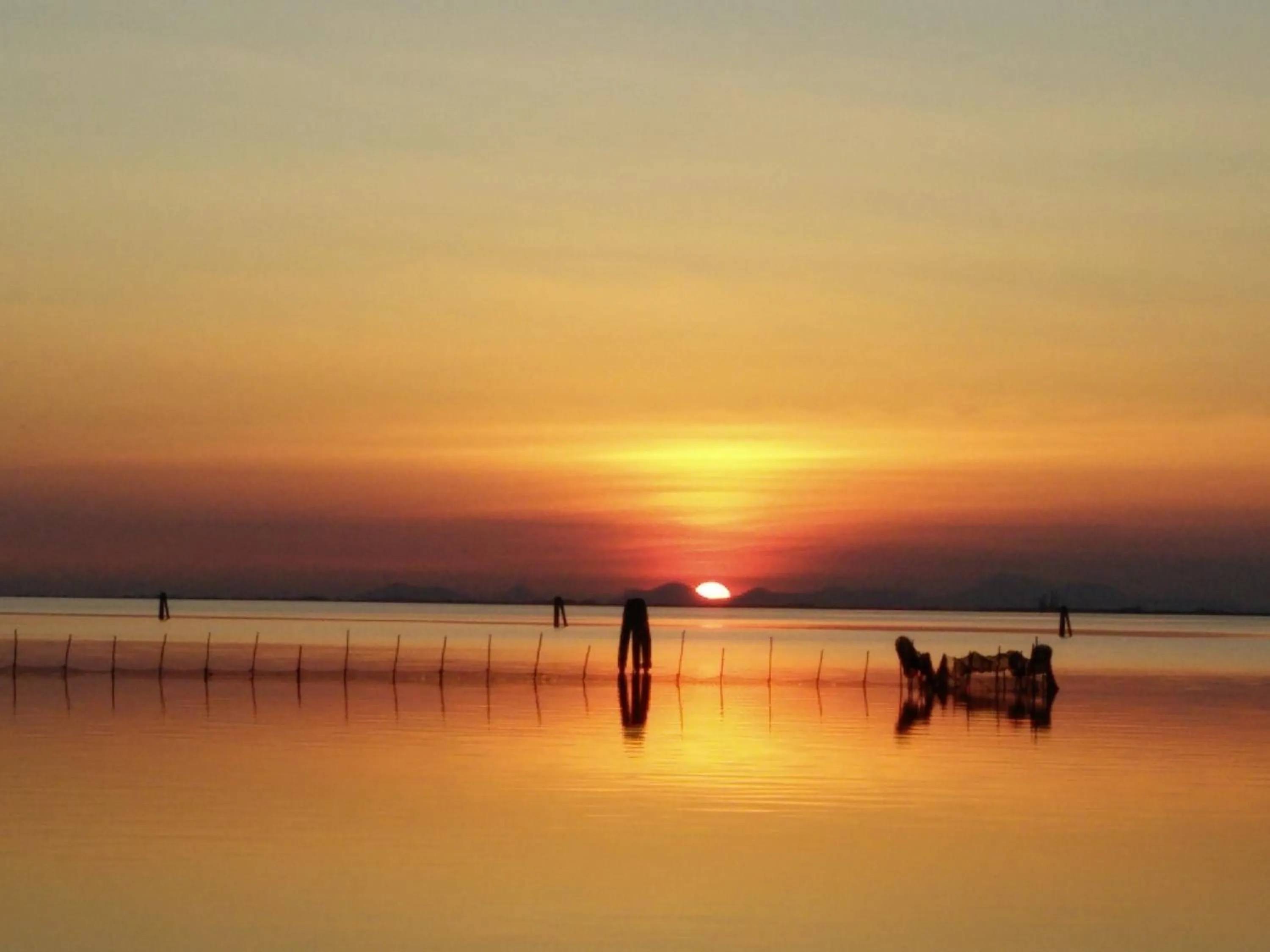 Natural landscape in Hotel Villa Delle Palme