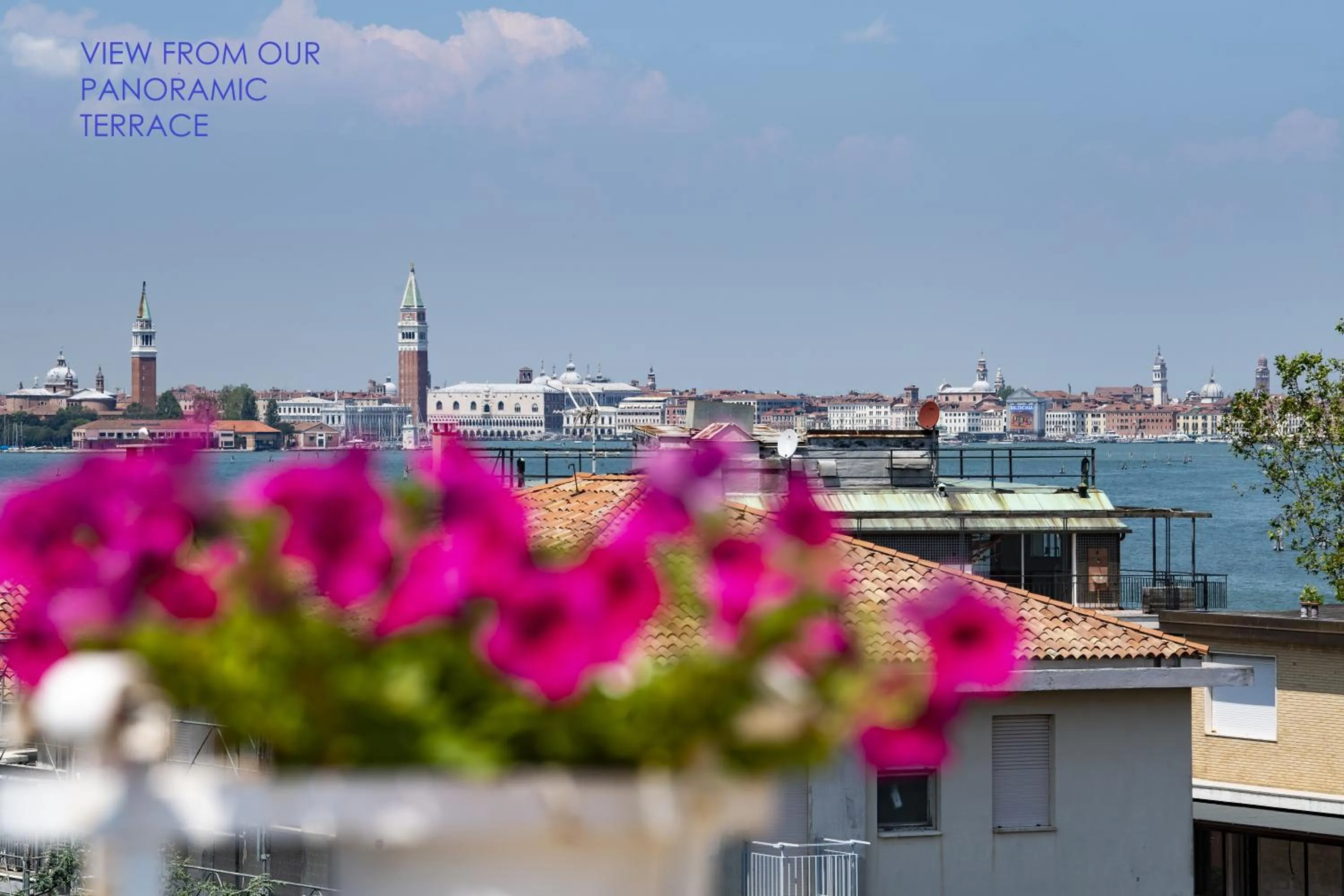View (from property/room) in Hotel Villa Delle Palme