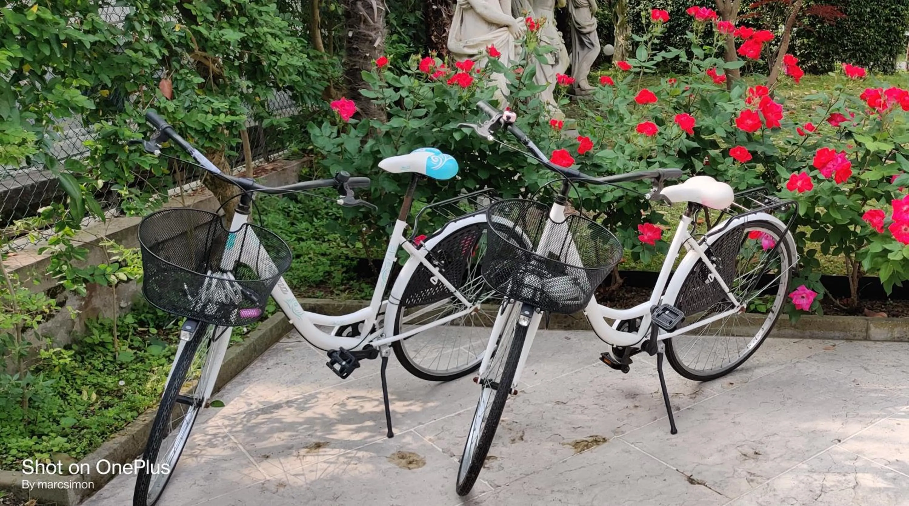 Cycling in Hotel Villa Delle Palme