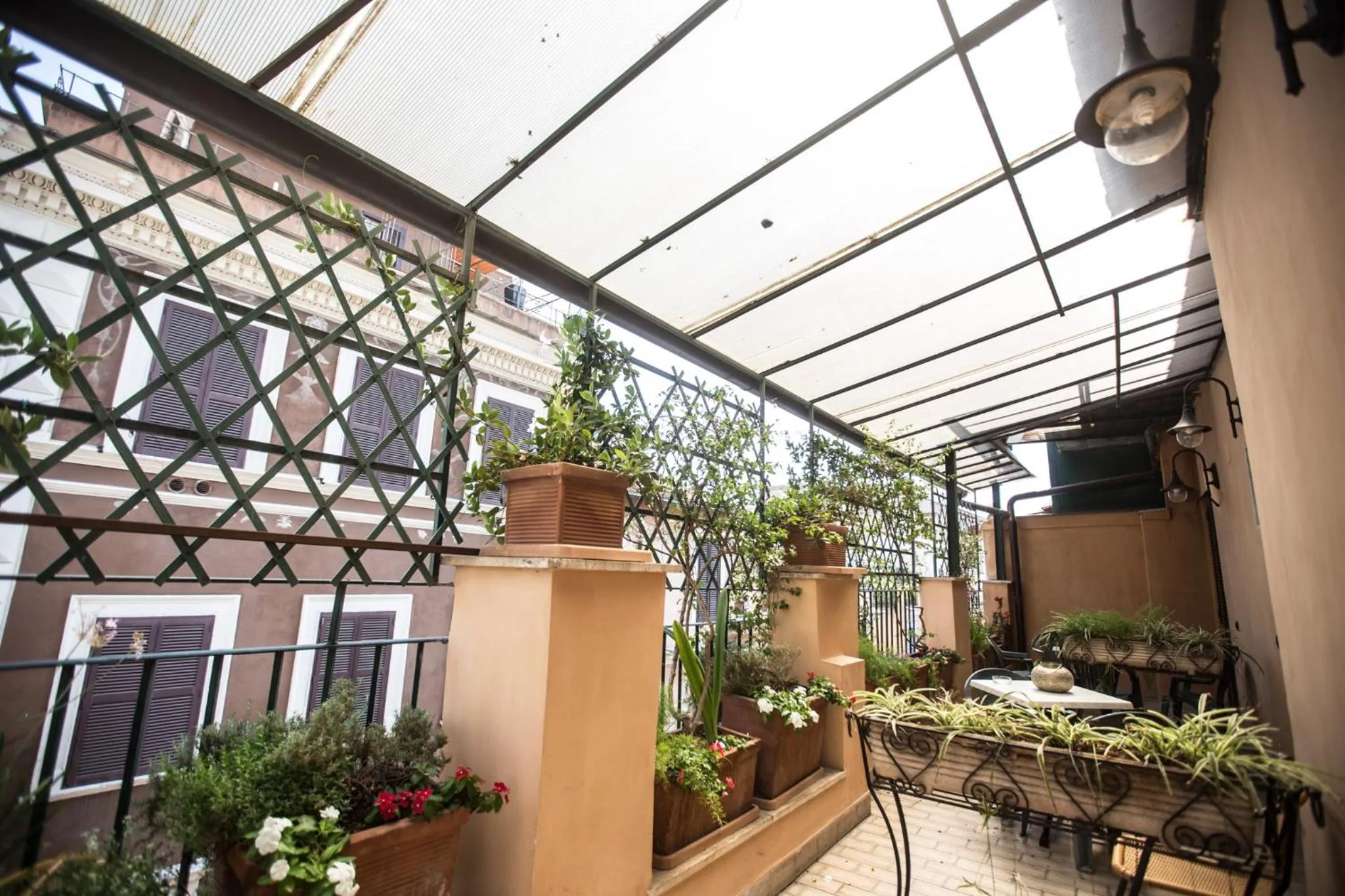 Balcony/Terrace in Hotel Grifo