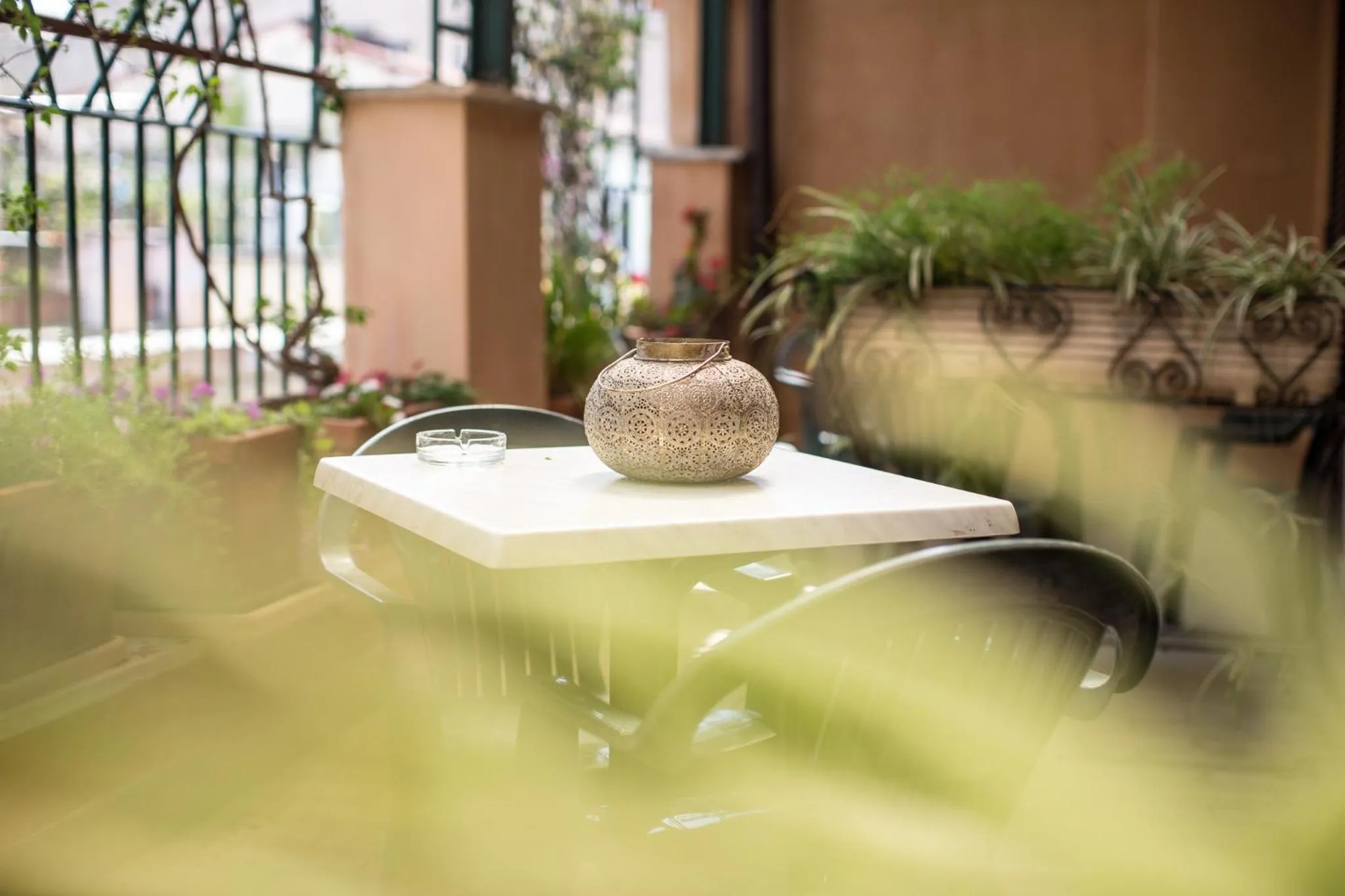 Balcony/Terrace in Hotel Grifo