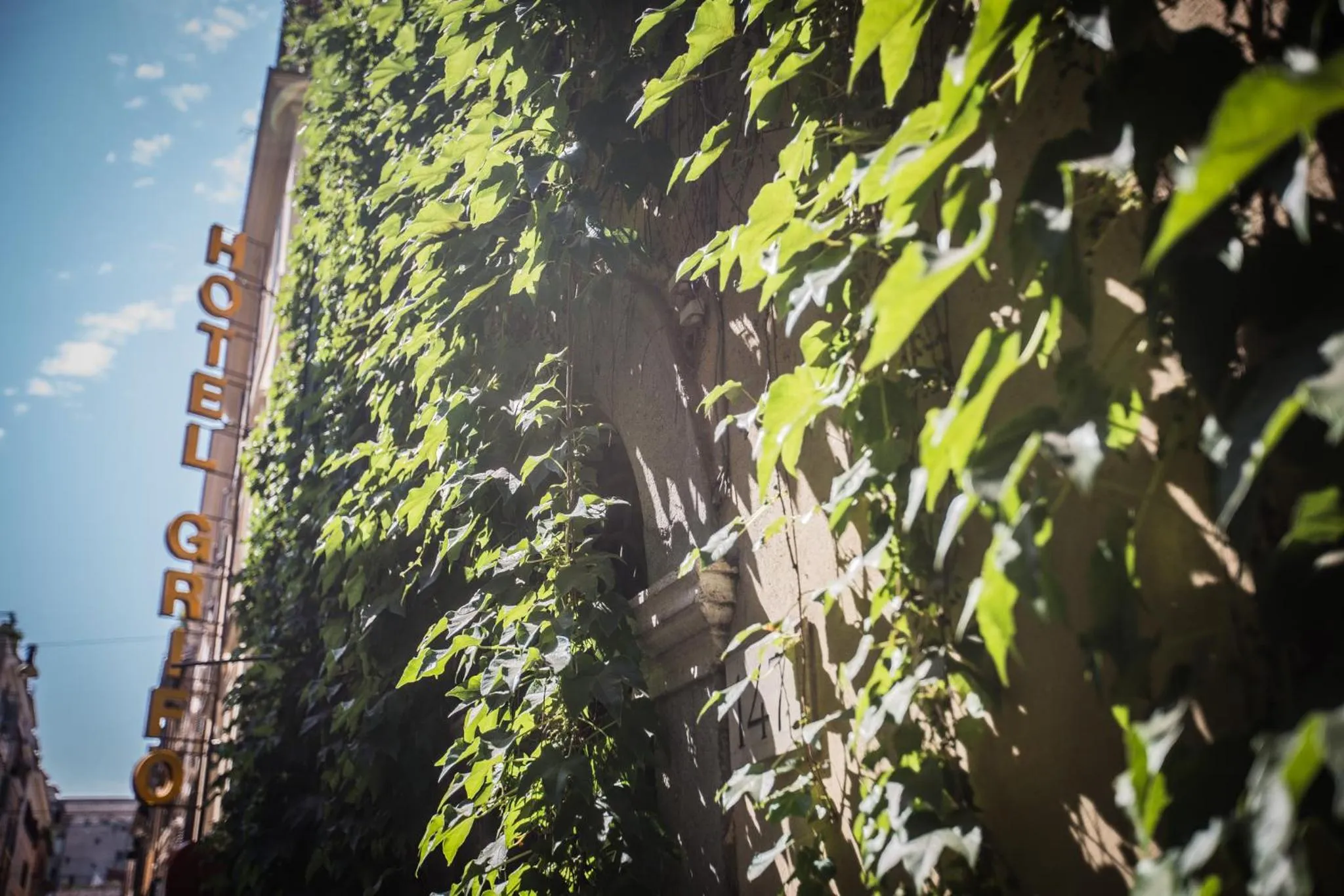 Property building in Hotel Grifo