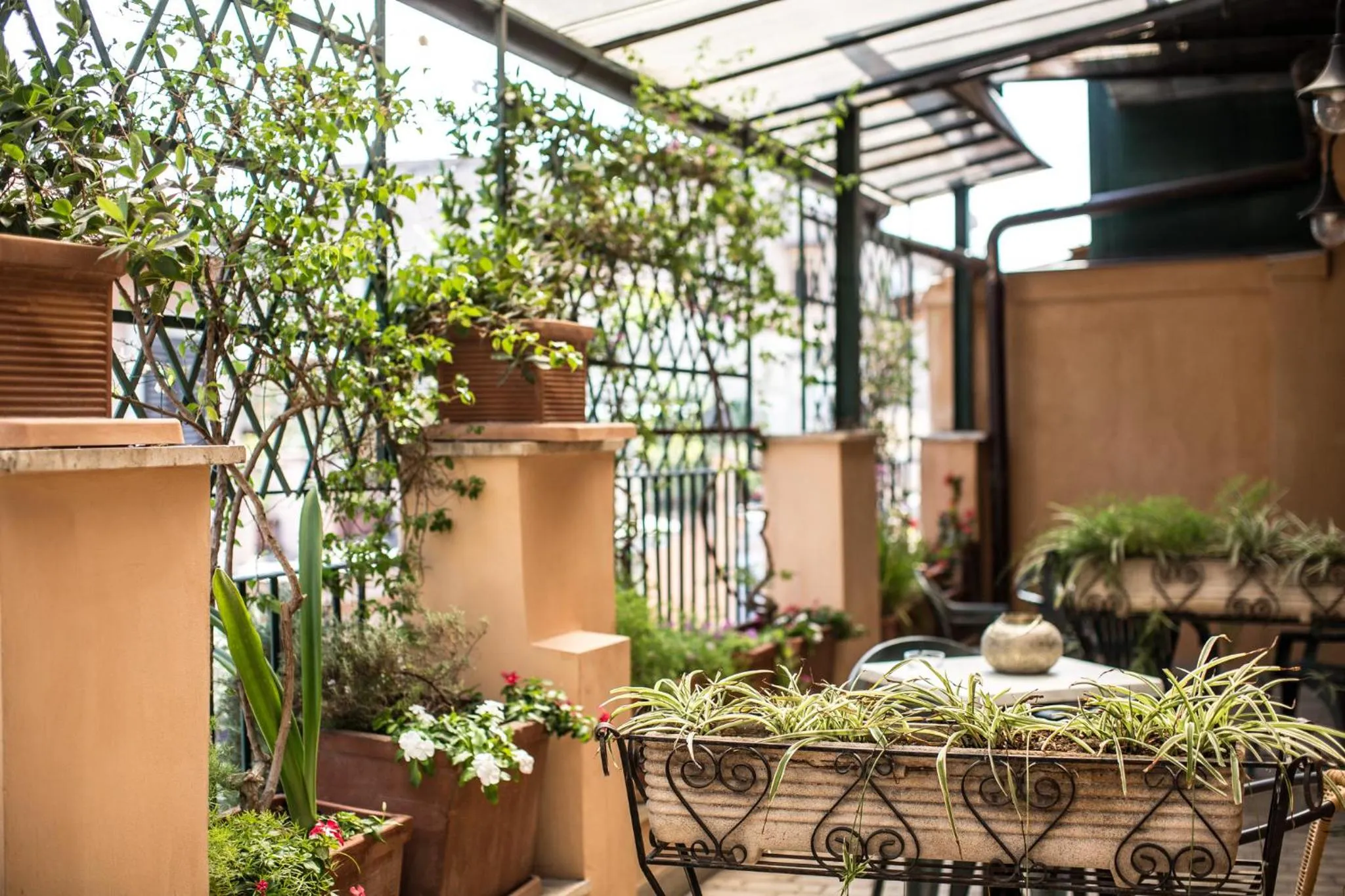 Balcony/Terrace in Hotel Grifo