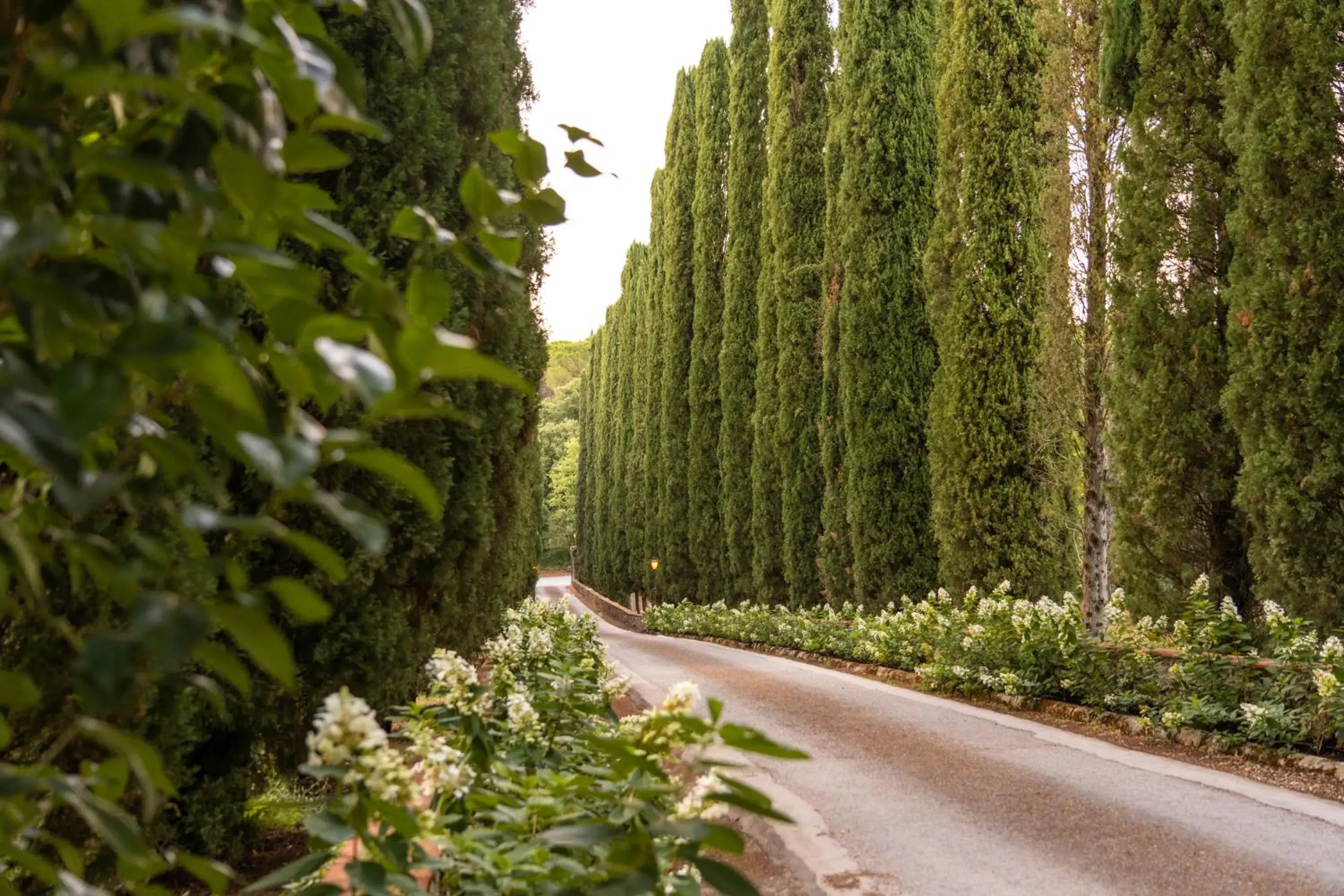 Property building in Borgo San Luigi Property building in Borgo San Luigi