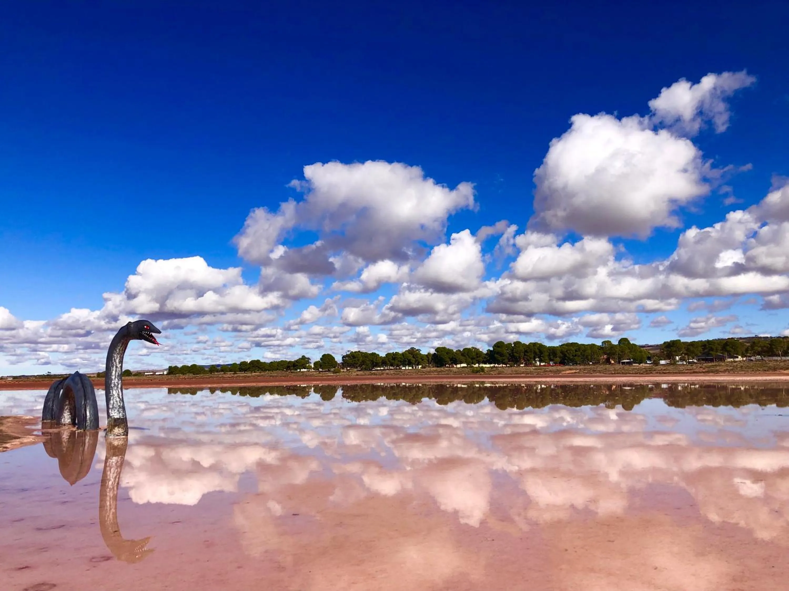 Lake view in Pink Lake Tiny House - 'Peony'
