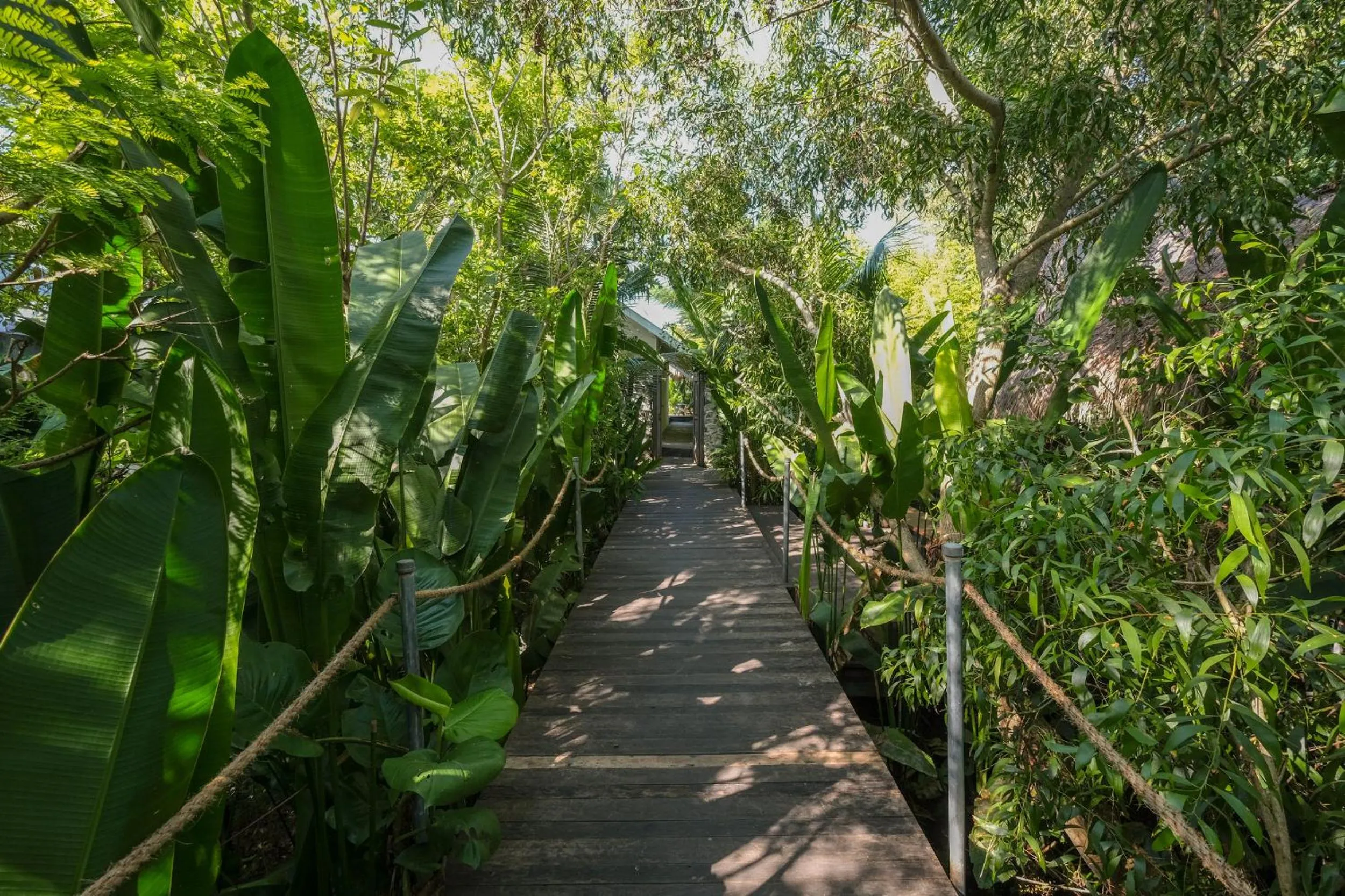 Garden in Salty Breeze Bali