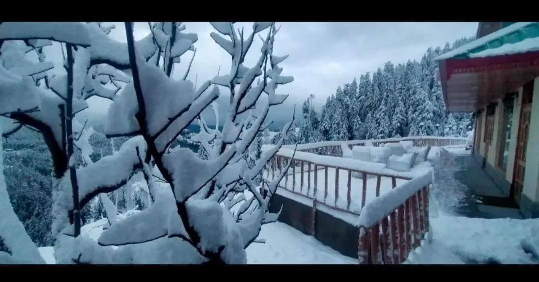 Property building in Jomotel Talai