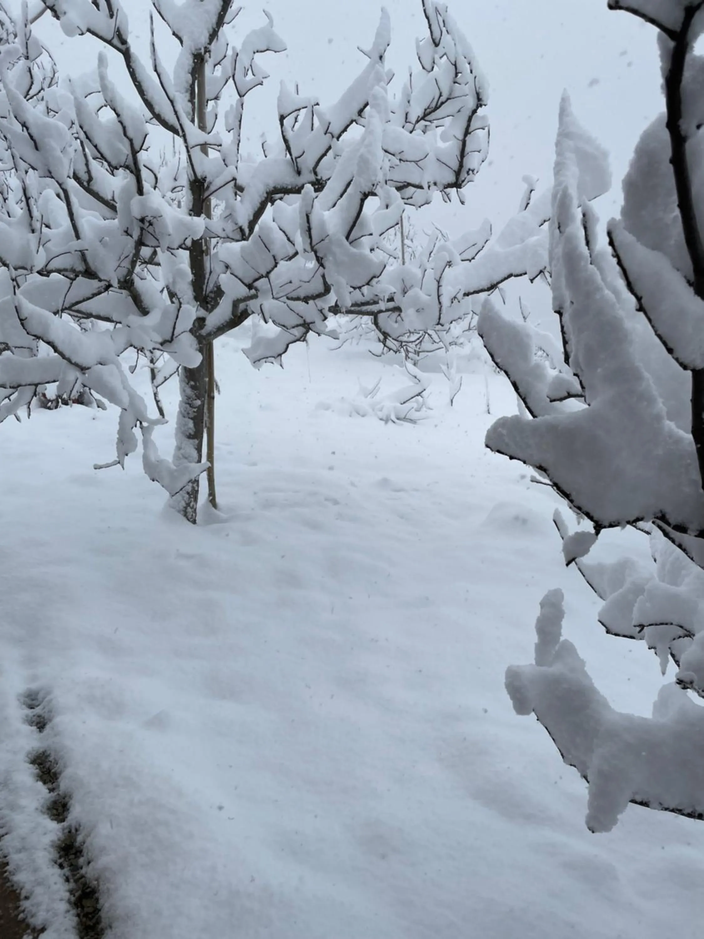 Property building in Jomotel Talai