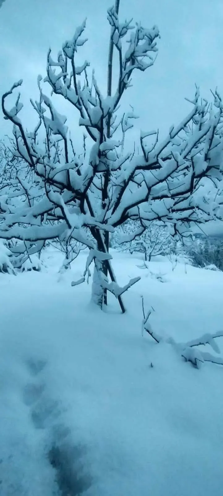 Property building in Jomotel Talai