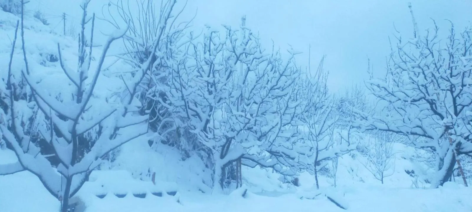 Property building in Jomotel Talai