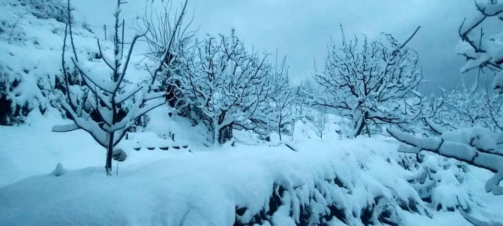 Property building in Jomotel Talai