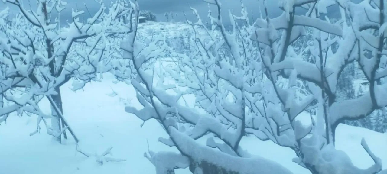 View (from property/room) in Jomotel Talai