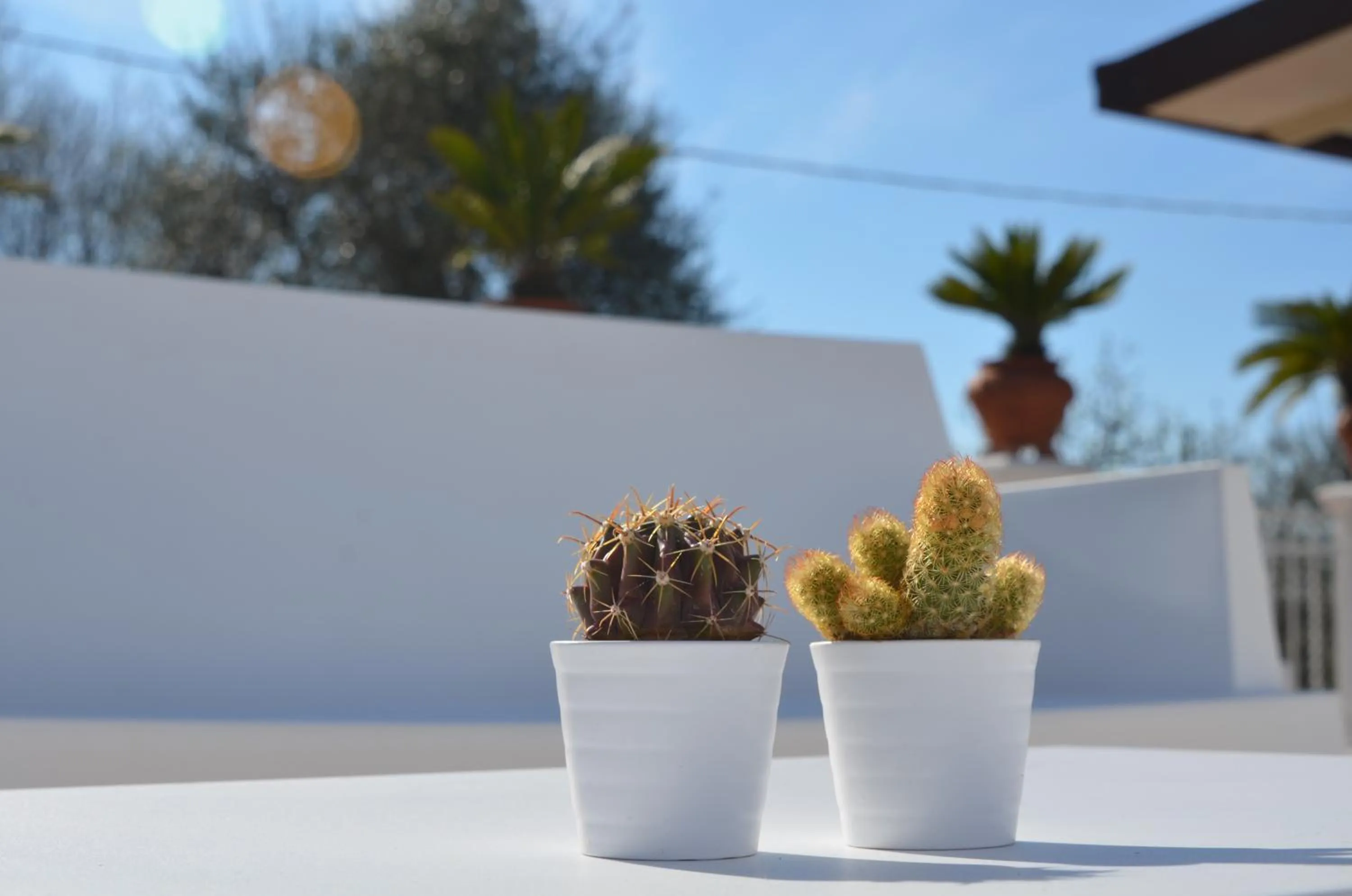Decorative detail in Residence Le Terrazze