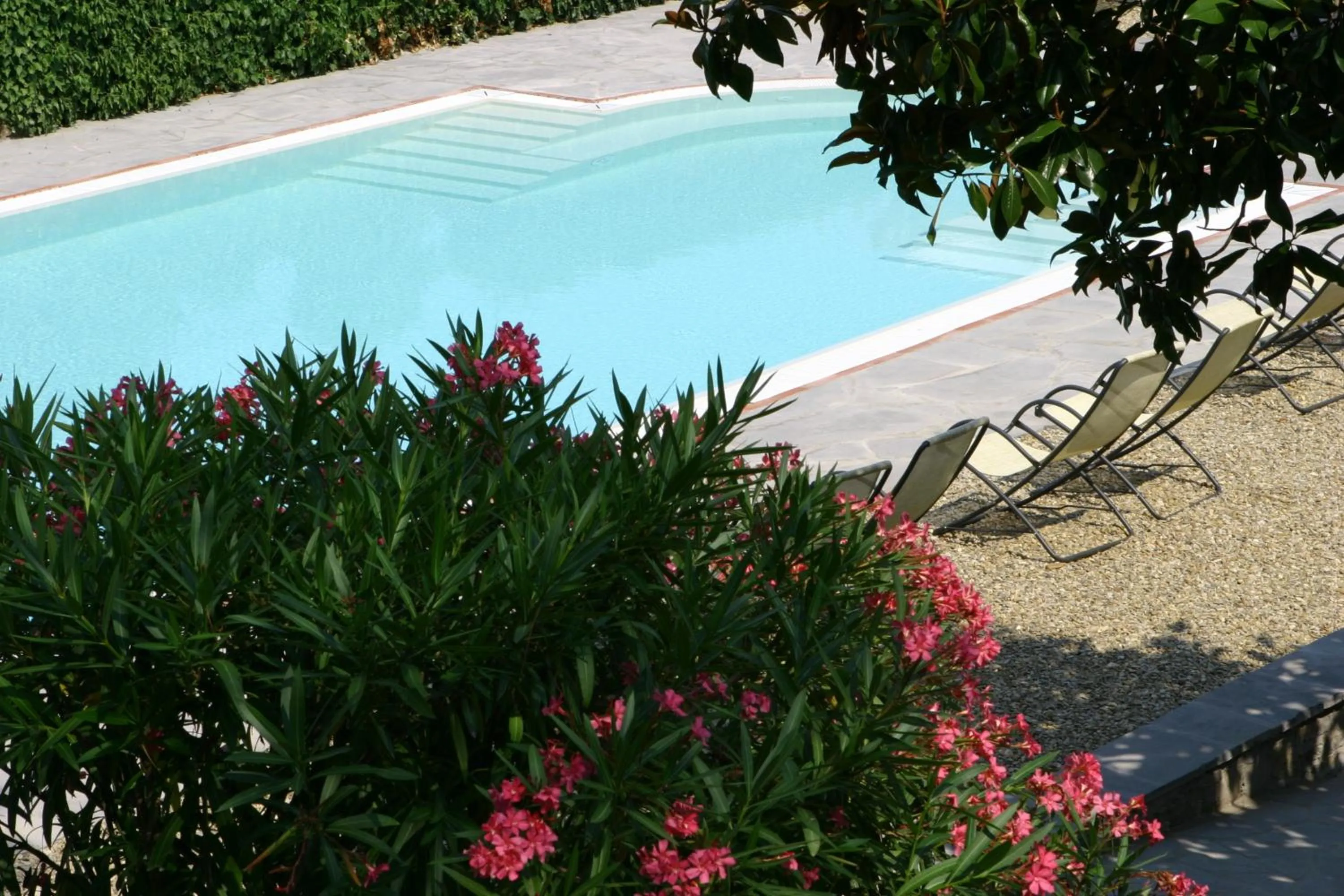 Garden in Hotel Villa Dei Bosconi