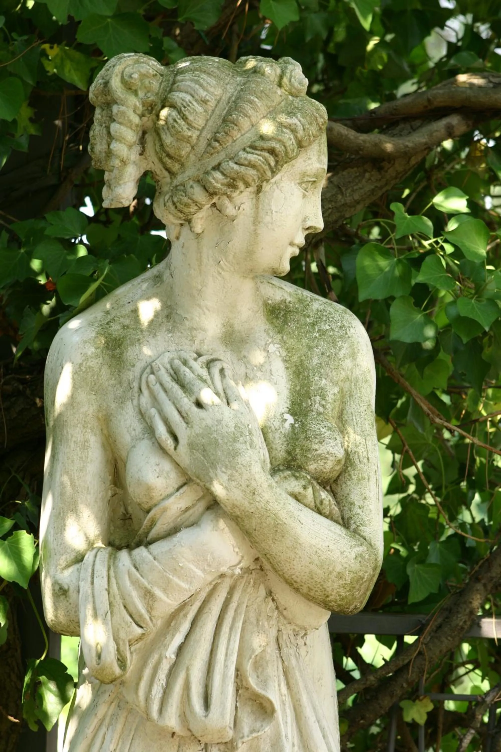 Garden in Hotel Villa Dei Bosconi