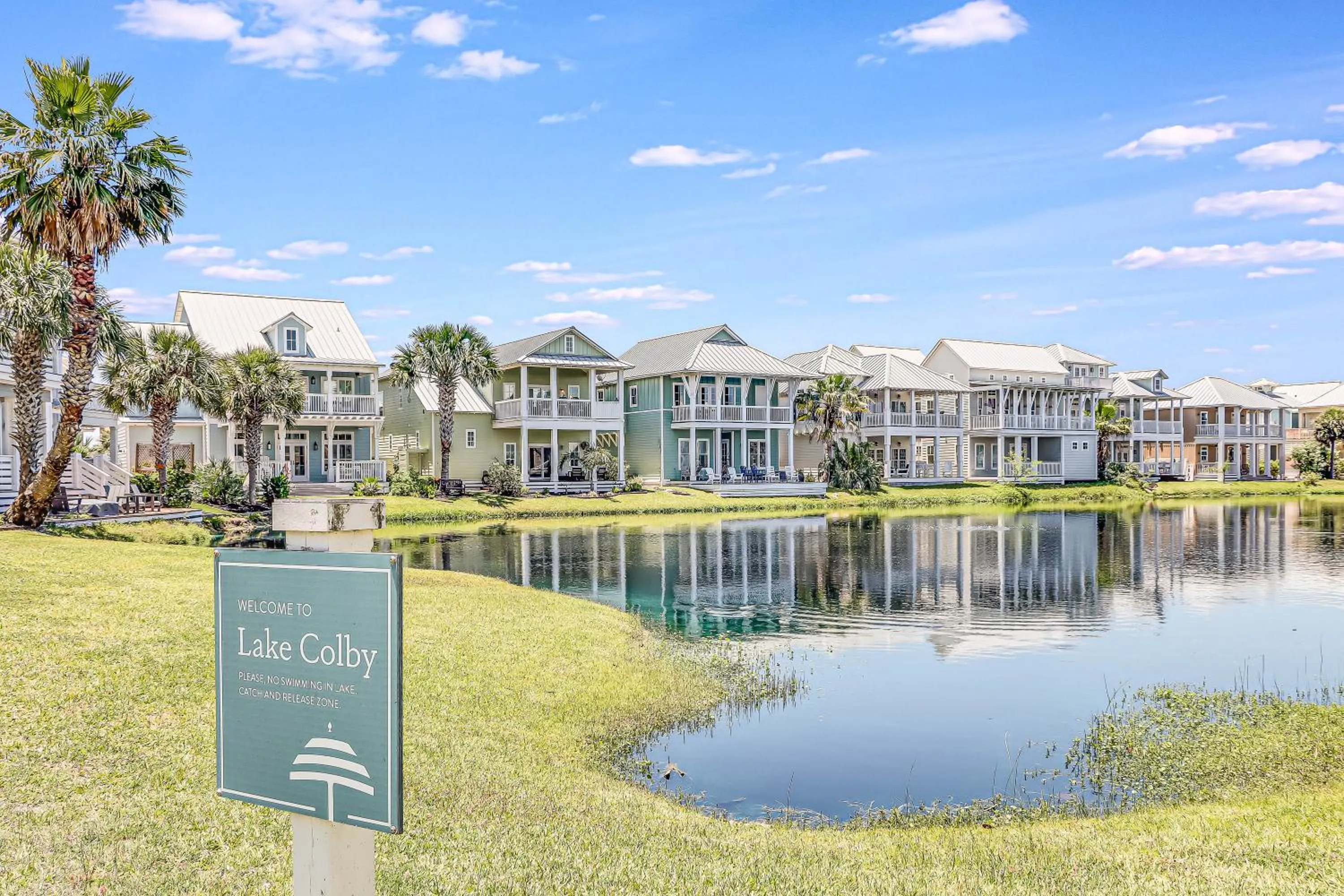 Other in The Sunflower 163 BE