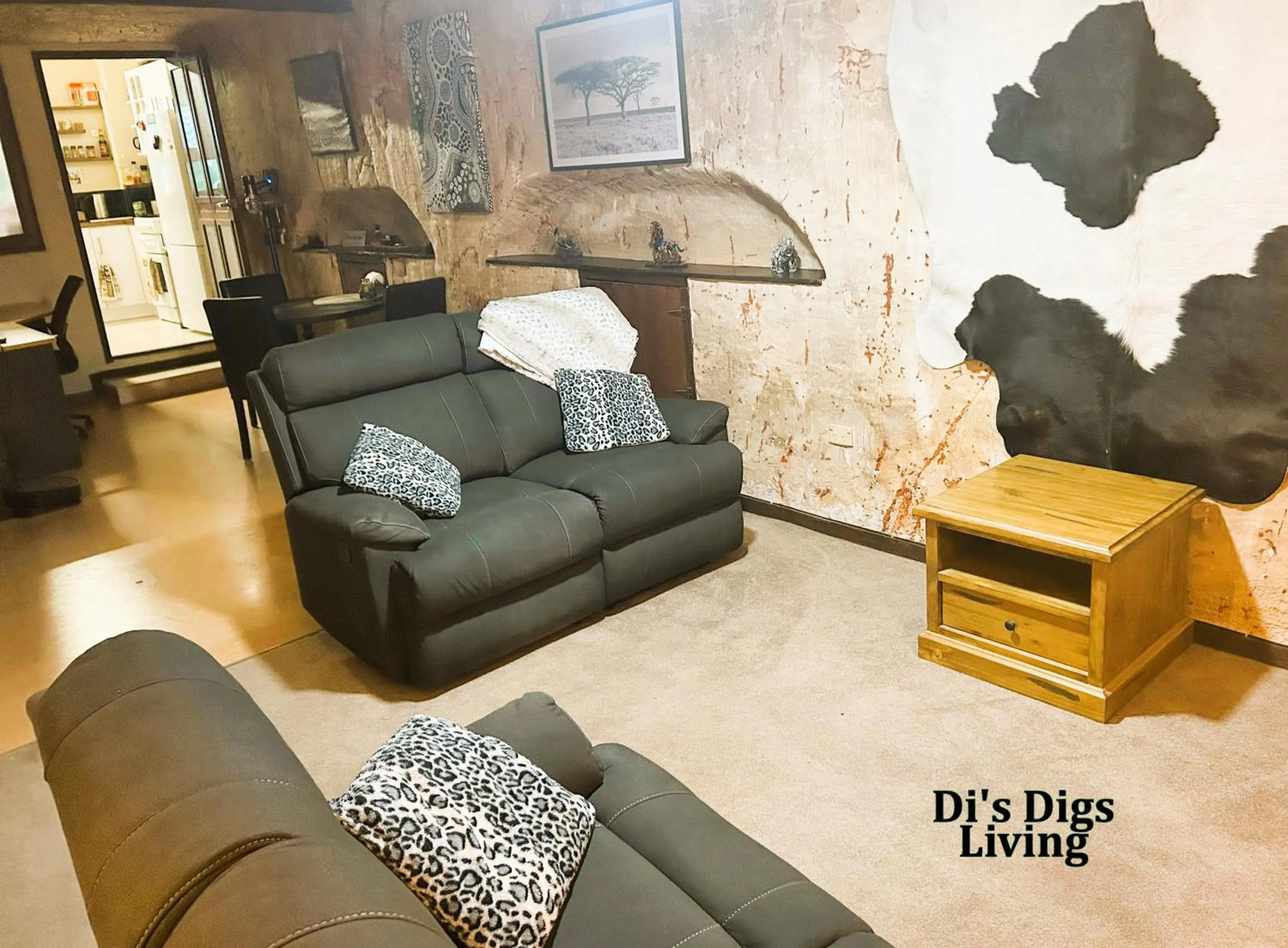 TV and multimedia in Di's Dugouts