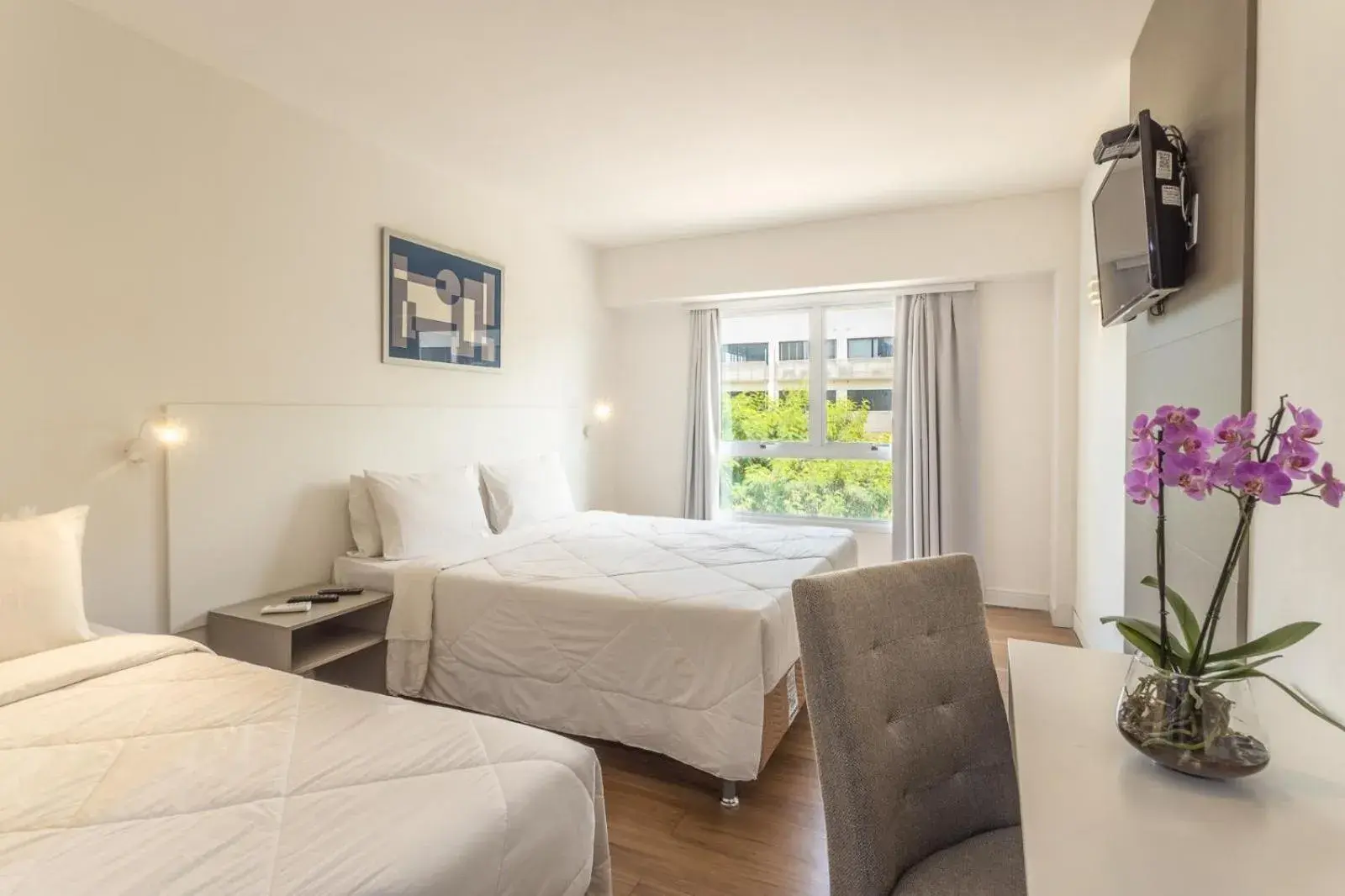 Bed in ATH Hotel - Américas Townhouse Bed in ATH Hotel - Américas Townhouse