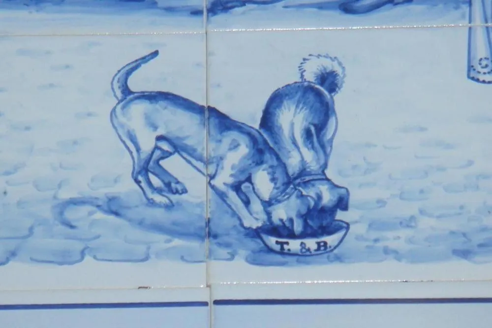 Property building in Casa Das Videiras