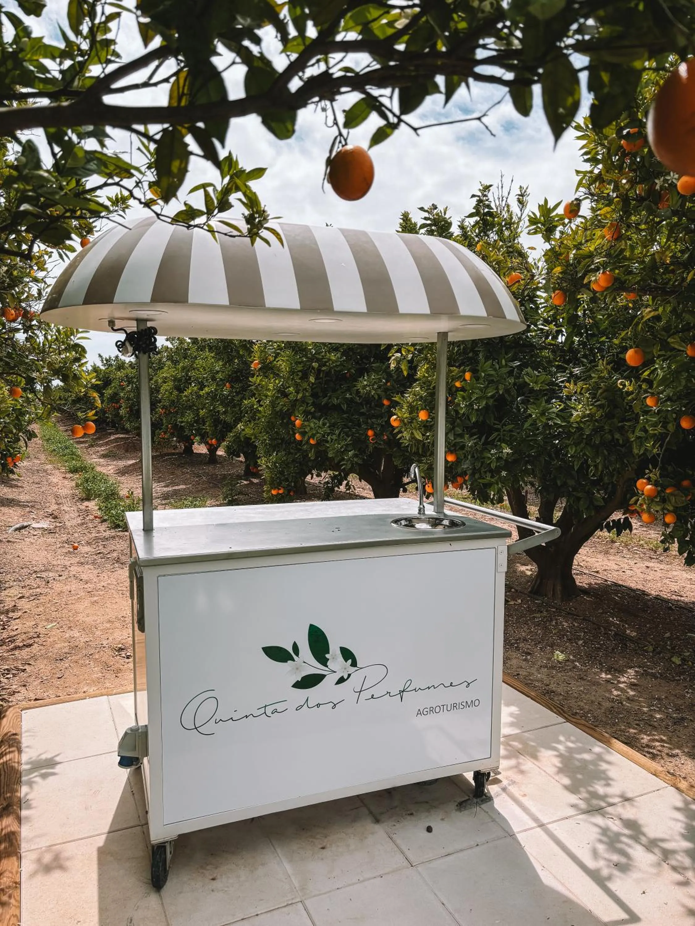 Swimming pool in Quinta Dos Perfumes
