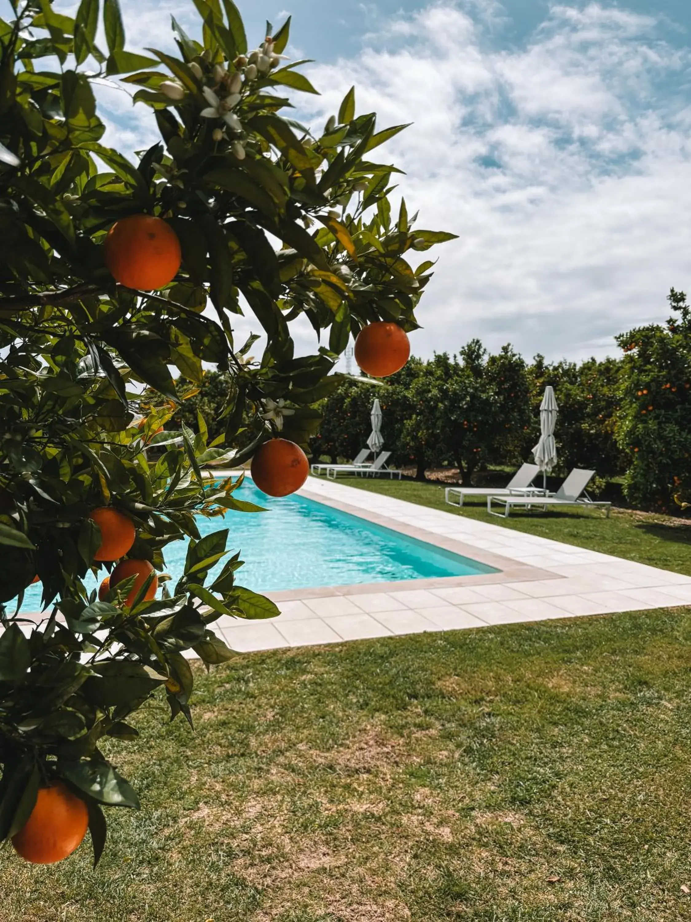 Swimming pool in Quinta Dos Perfumes Swimming pool in Quinta Dos Perfumes