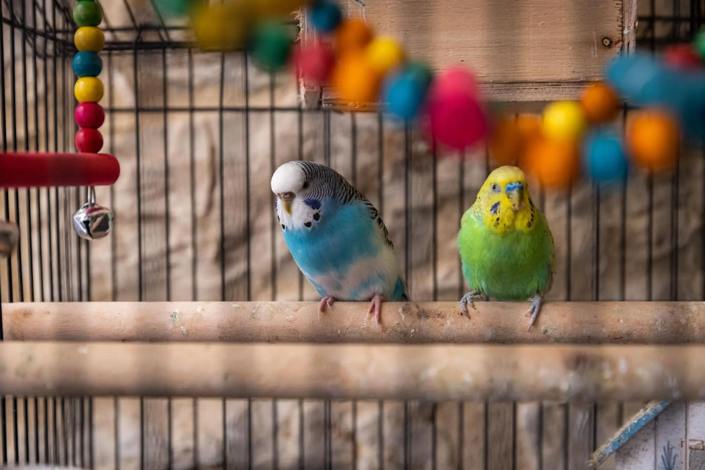Inner courtyard view in AGORA' Castelnuovo della Daunia
