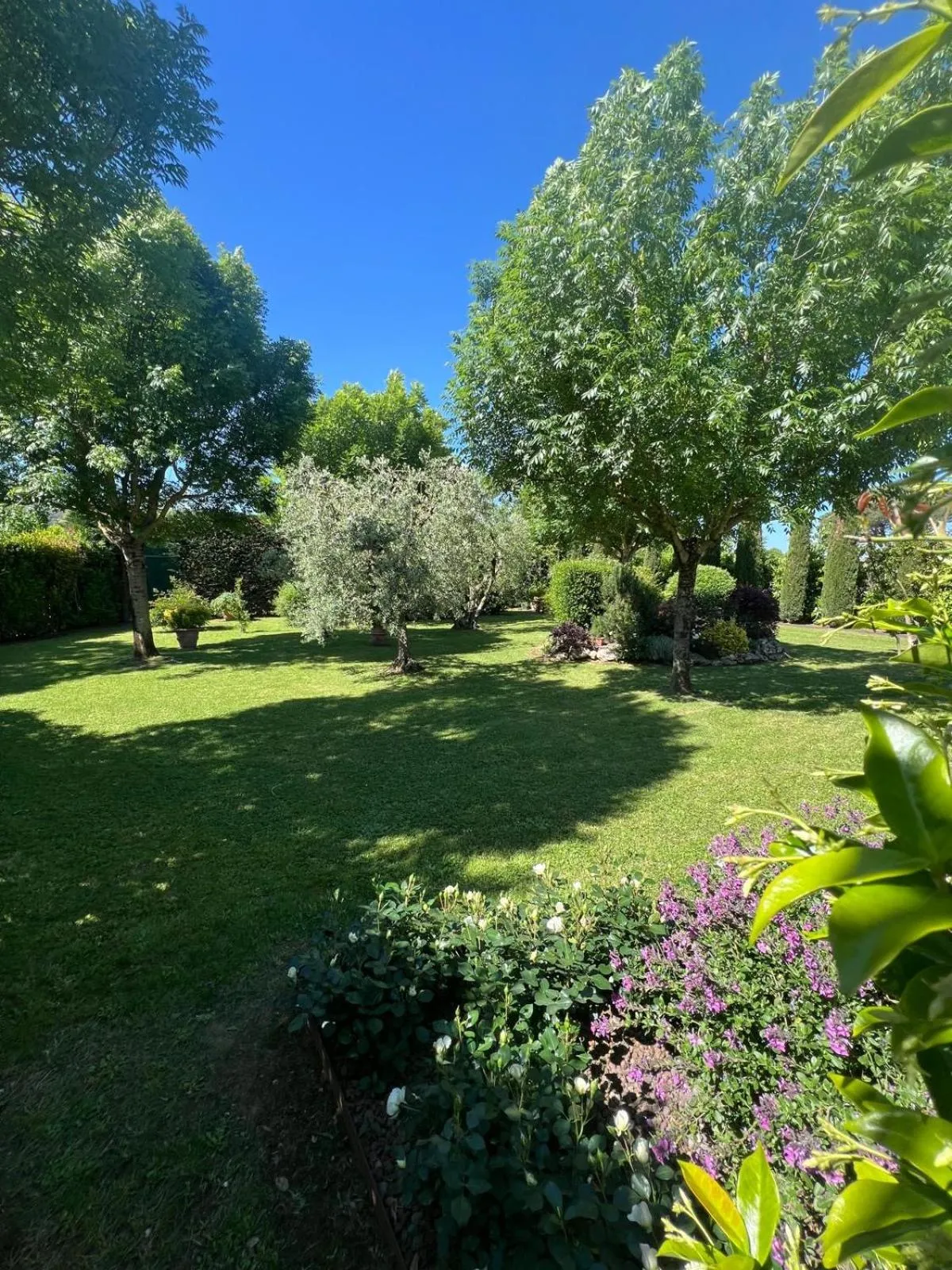 Garden in Relais La Corte dei Papi