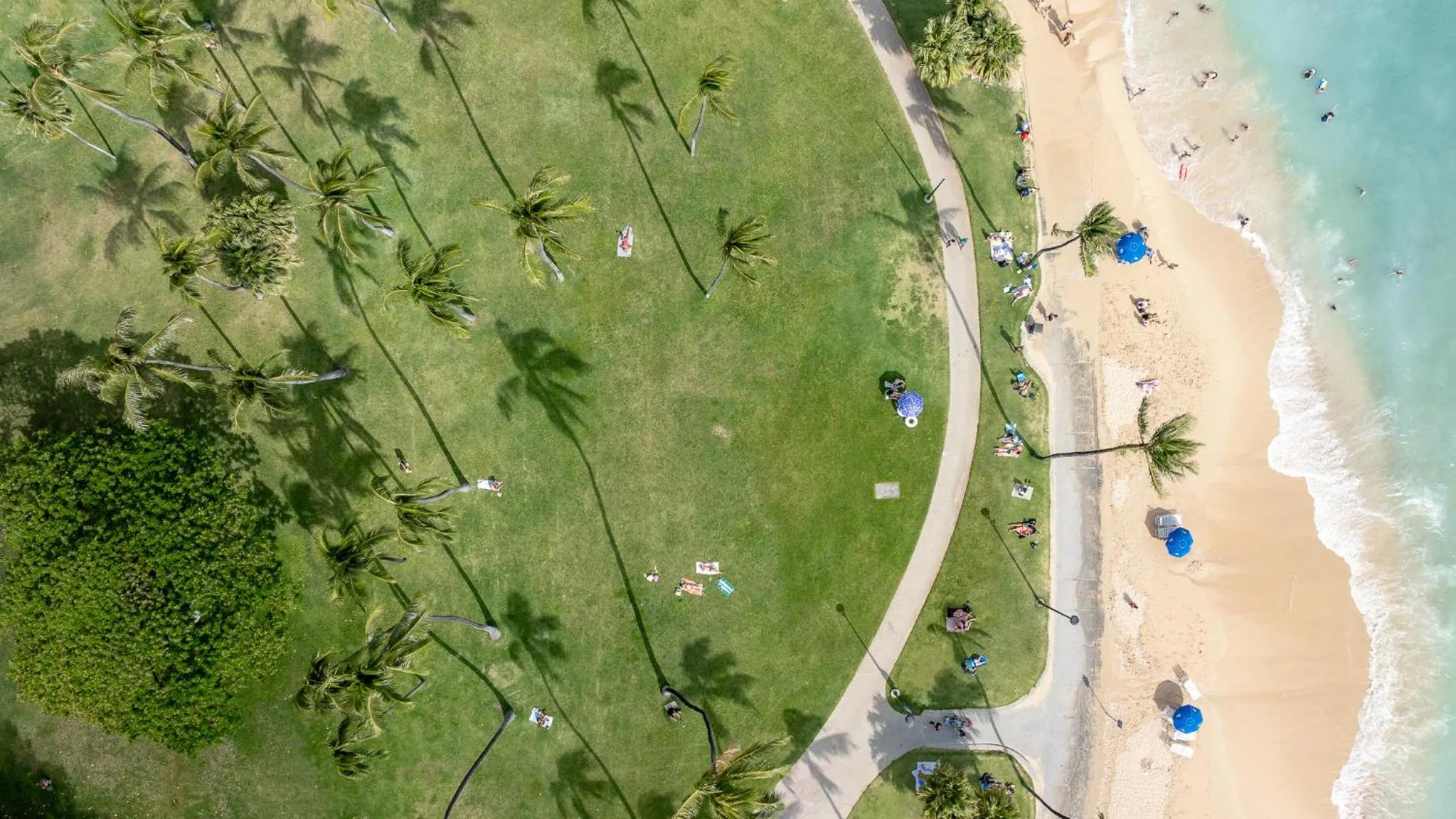 Beach in Luana Waikiki Hotel & Suites