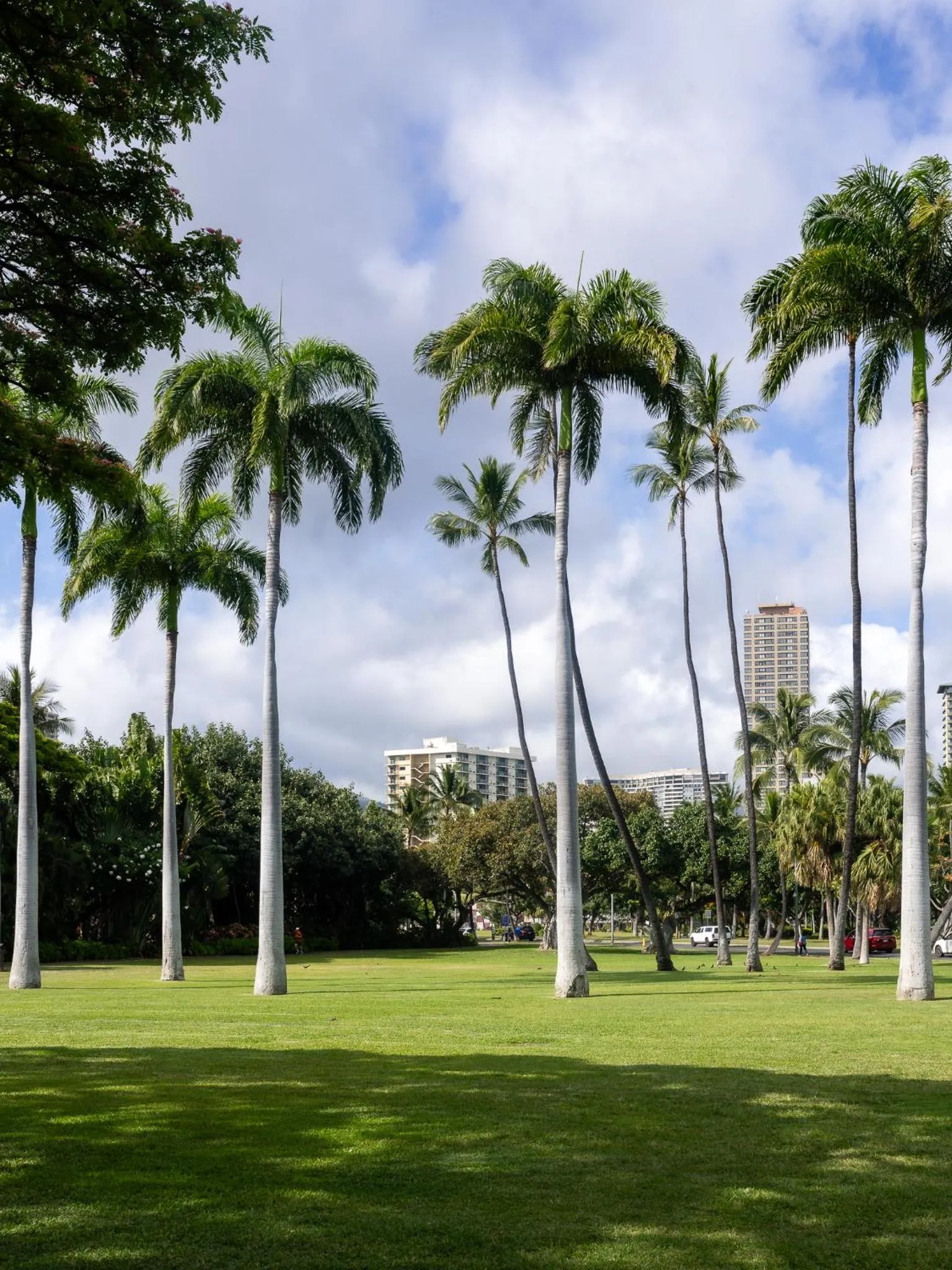 Natural landscape in Luana Waikiki Hotel & Suites