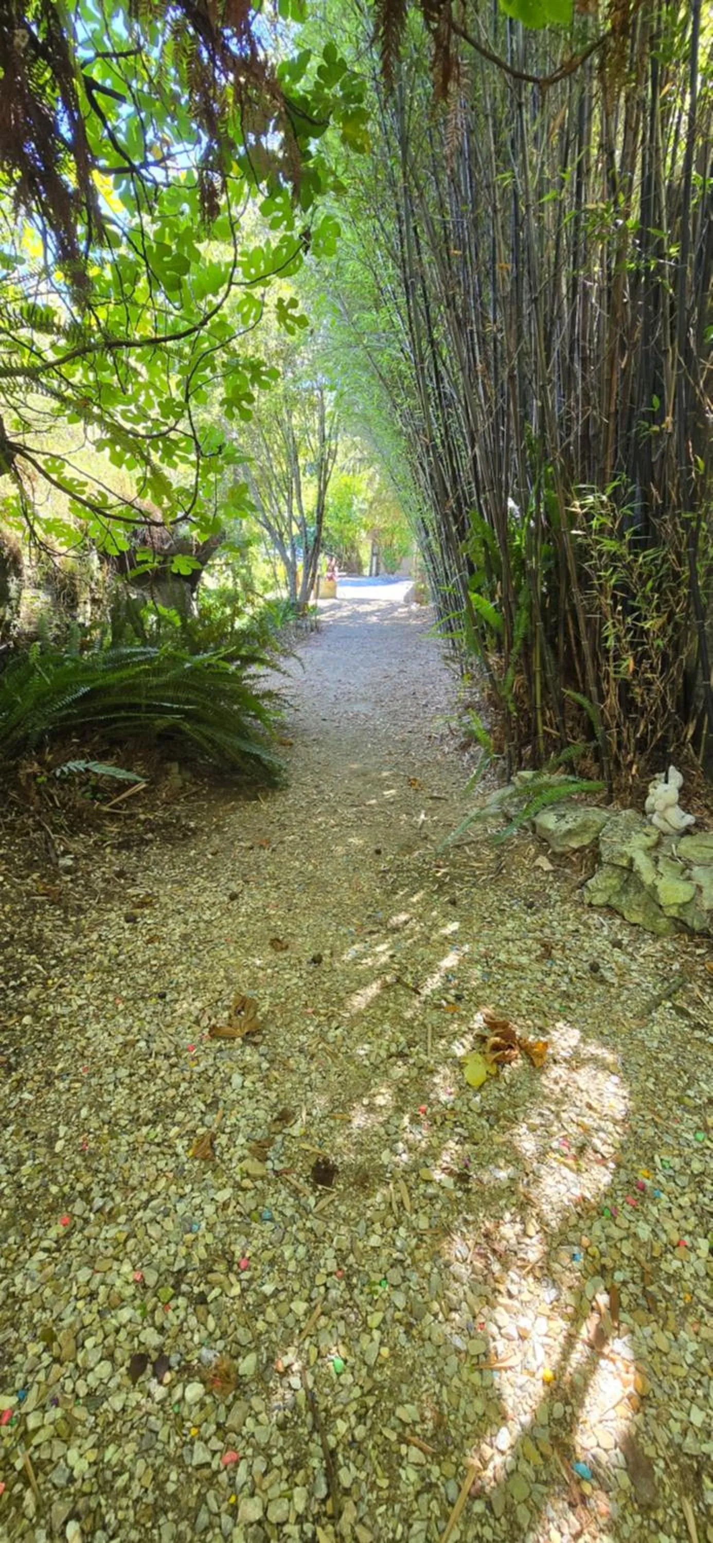 Natural landscape in The Rocks Chalets